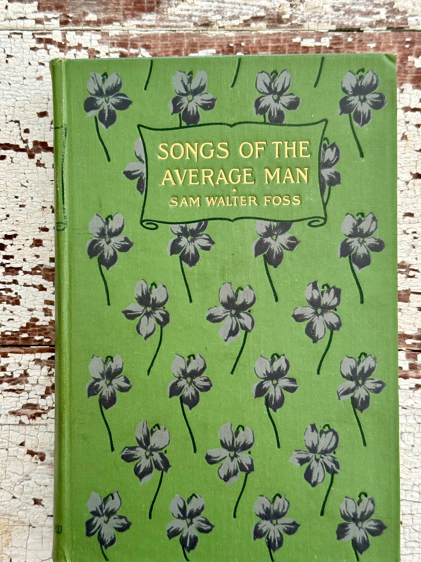 1907 Songs of the Average Man