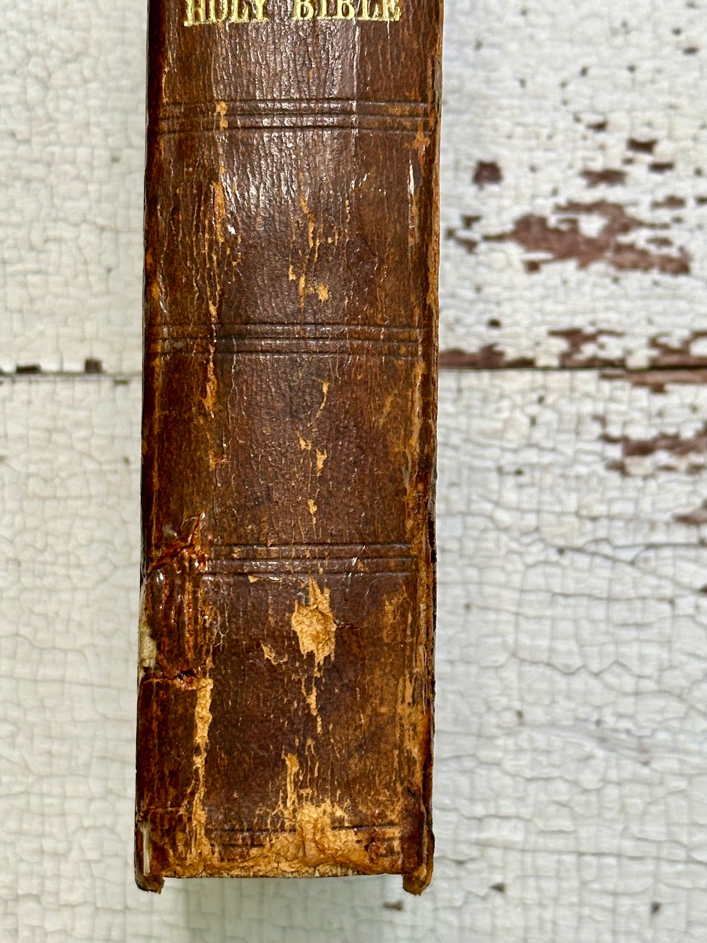 Rare 1861 Leather First Edition Holy Bible
