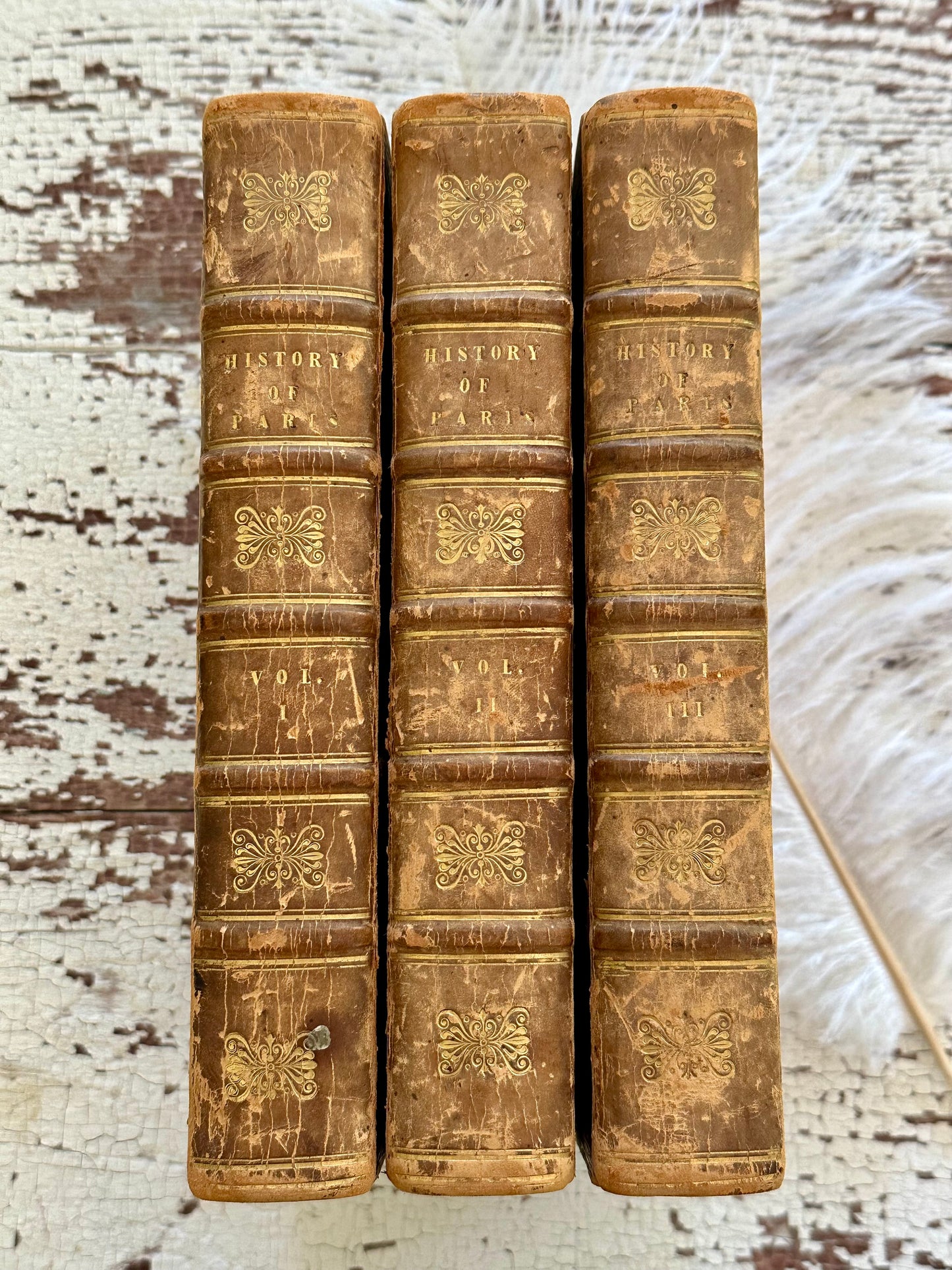 1825 The History of Paris Book Set