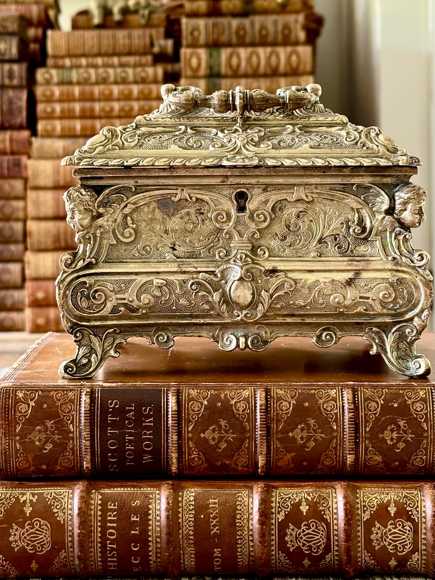Antique 19th Century Louis XV Style Casket or Jewelry Box