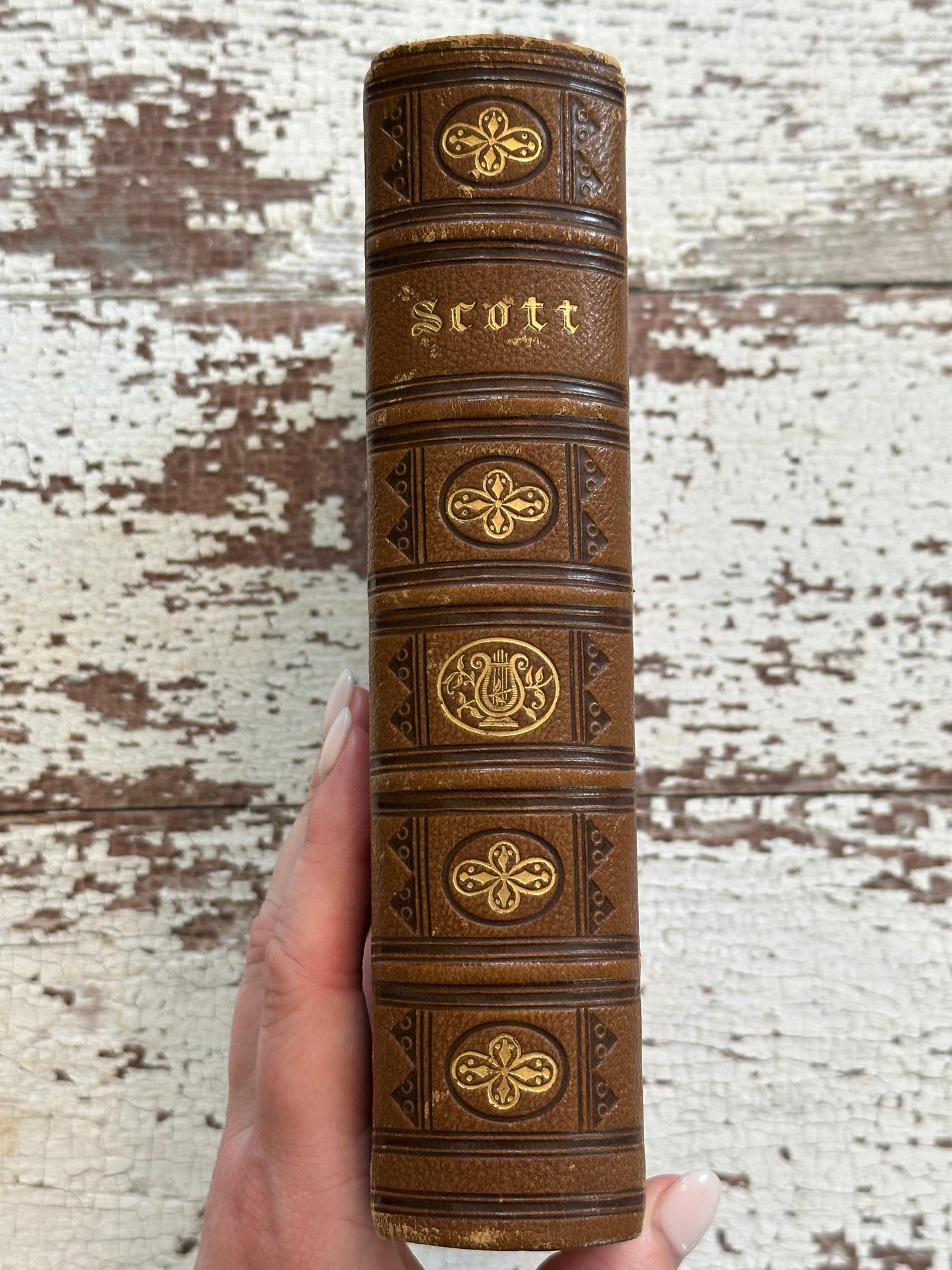 Rare-The Poetical Works of Sir Walter Scott with Hidden Fore-edge Painting