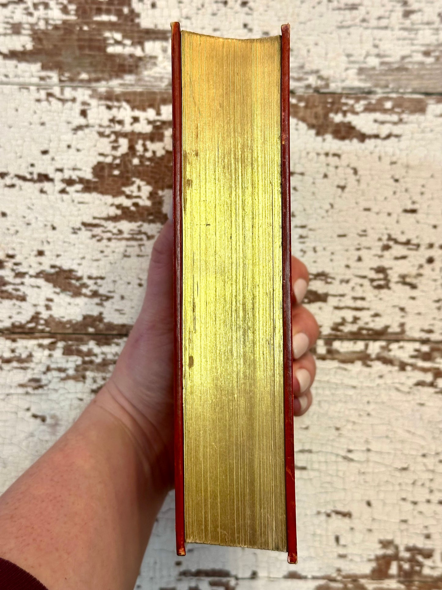 1905 Prized Binding-The Romance of Modern Exploration Book