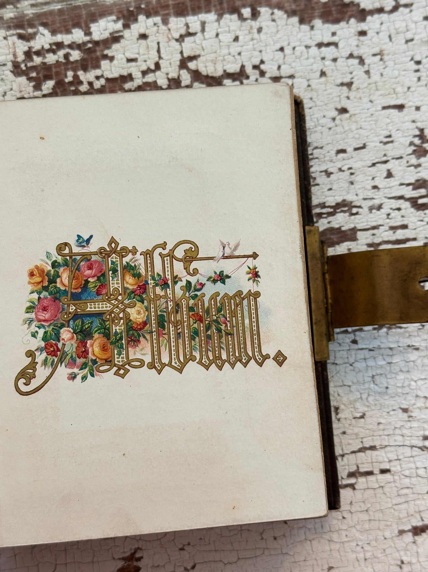 Antique Leather Photo Album Filled with Old Photographs & Tintypes