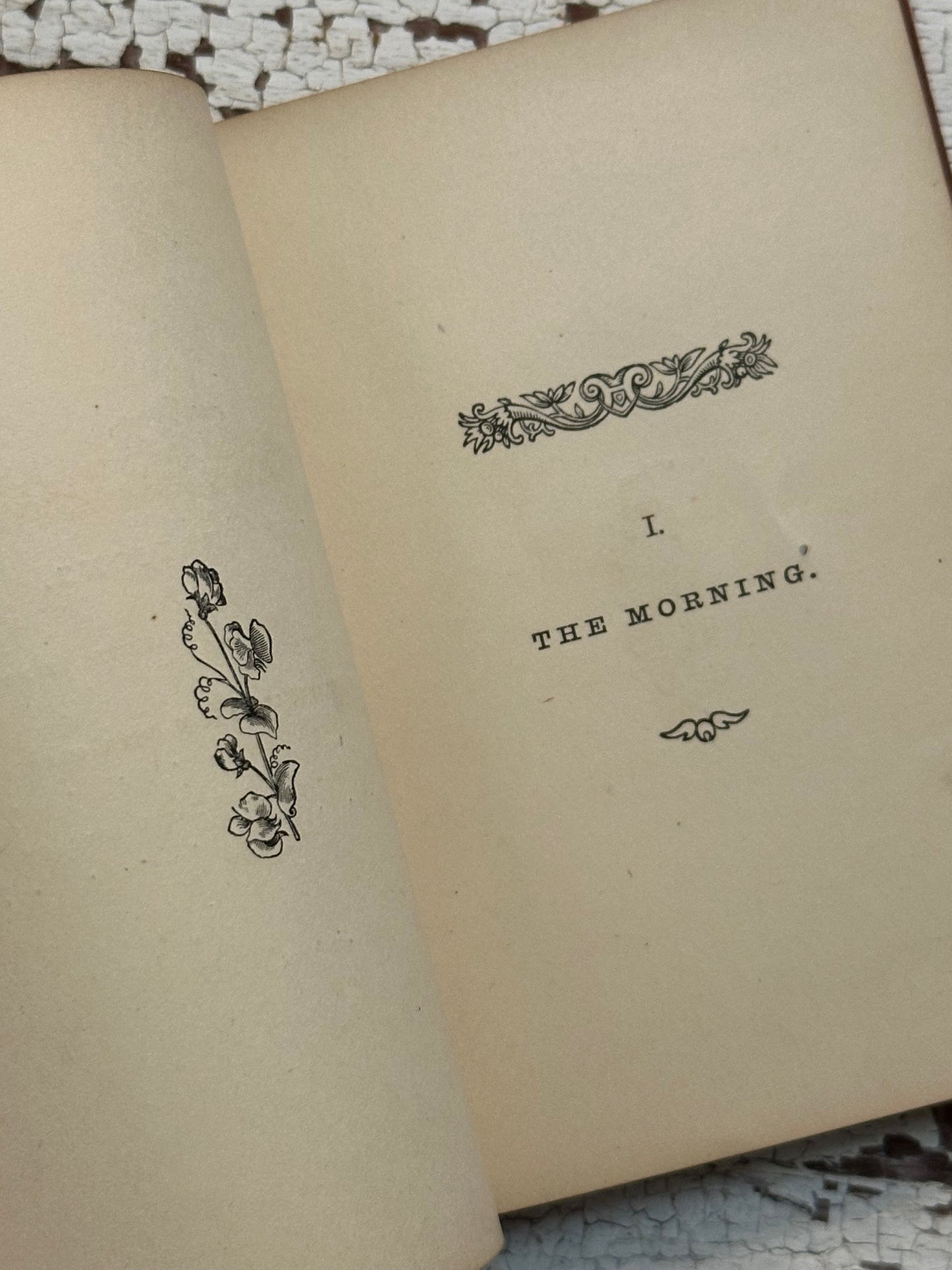 1876 A Days Pleasure Book- Pocket Size