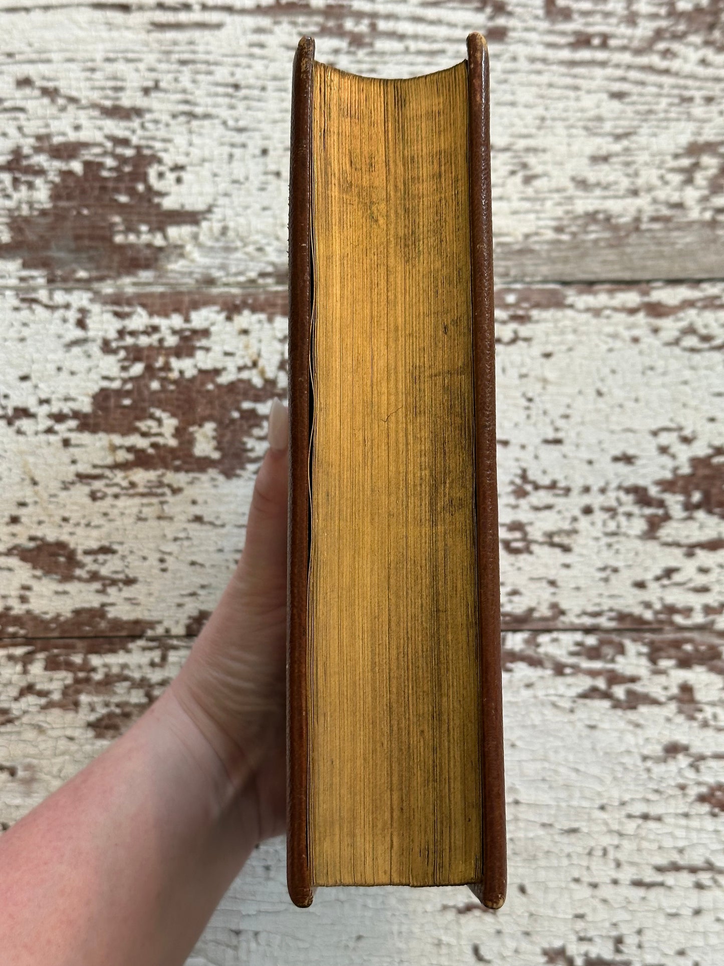 Rare-The Poetical Works of Sir Walter Scott with Hidden Fore-edge Painting