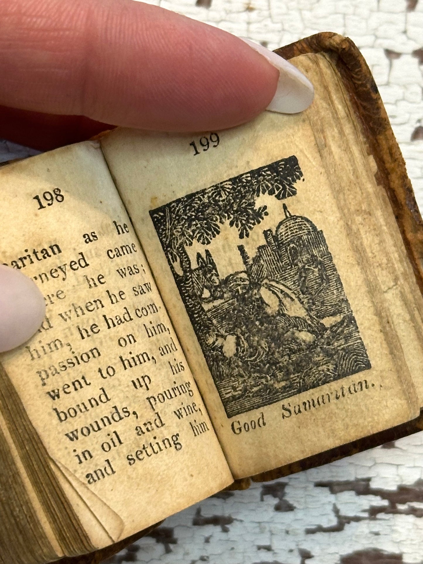 Rare- 1819 Micro History of the Bible Book