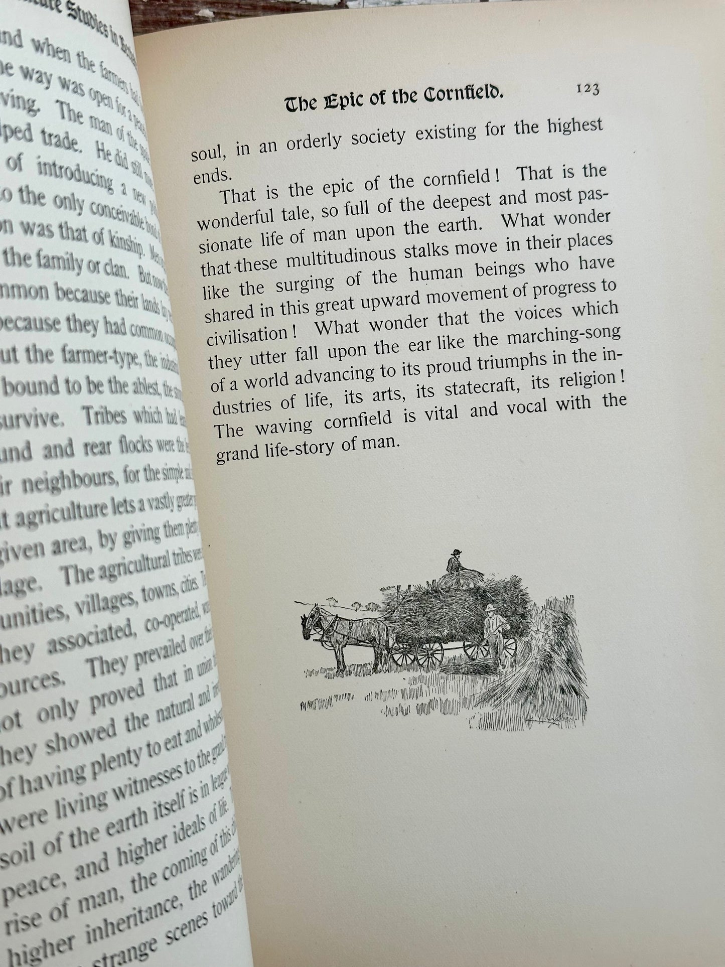1899 Nature Studies in Berkshire