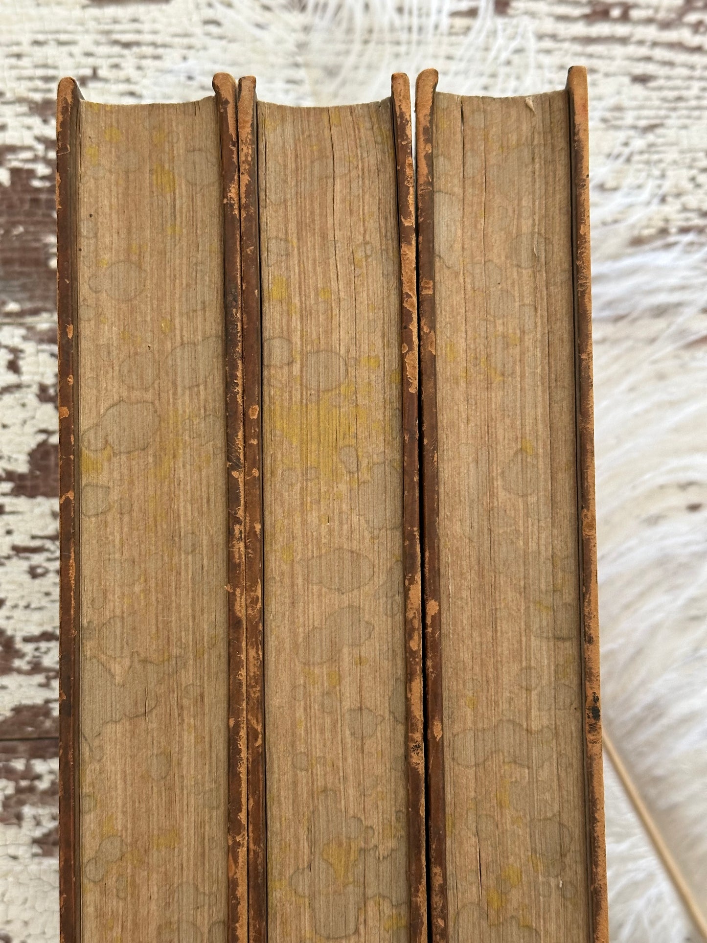 1825 The History of Paris Book Set