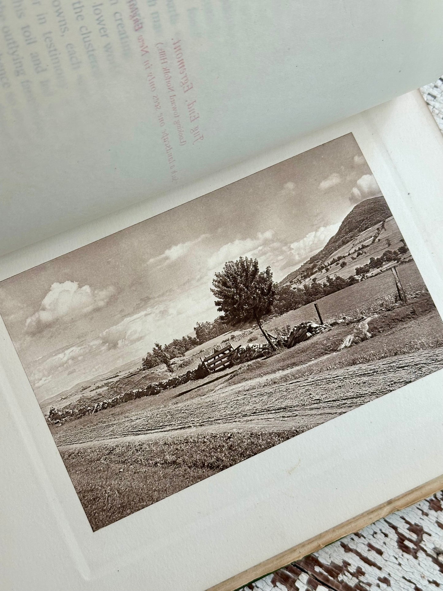 1899 Nature Studies in Berkshire