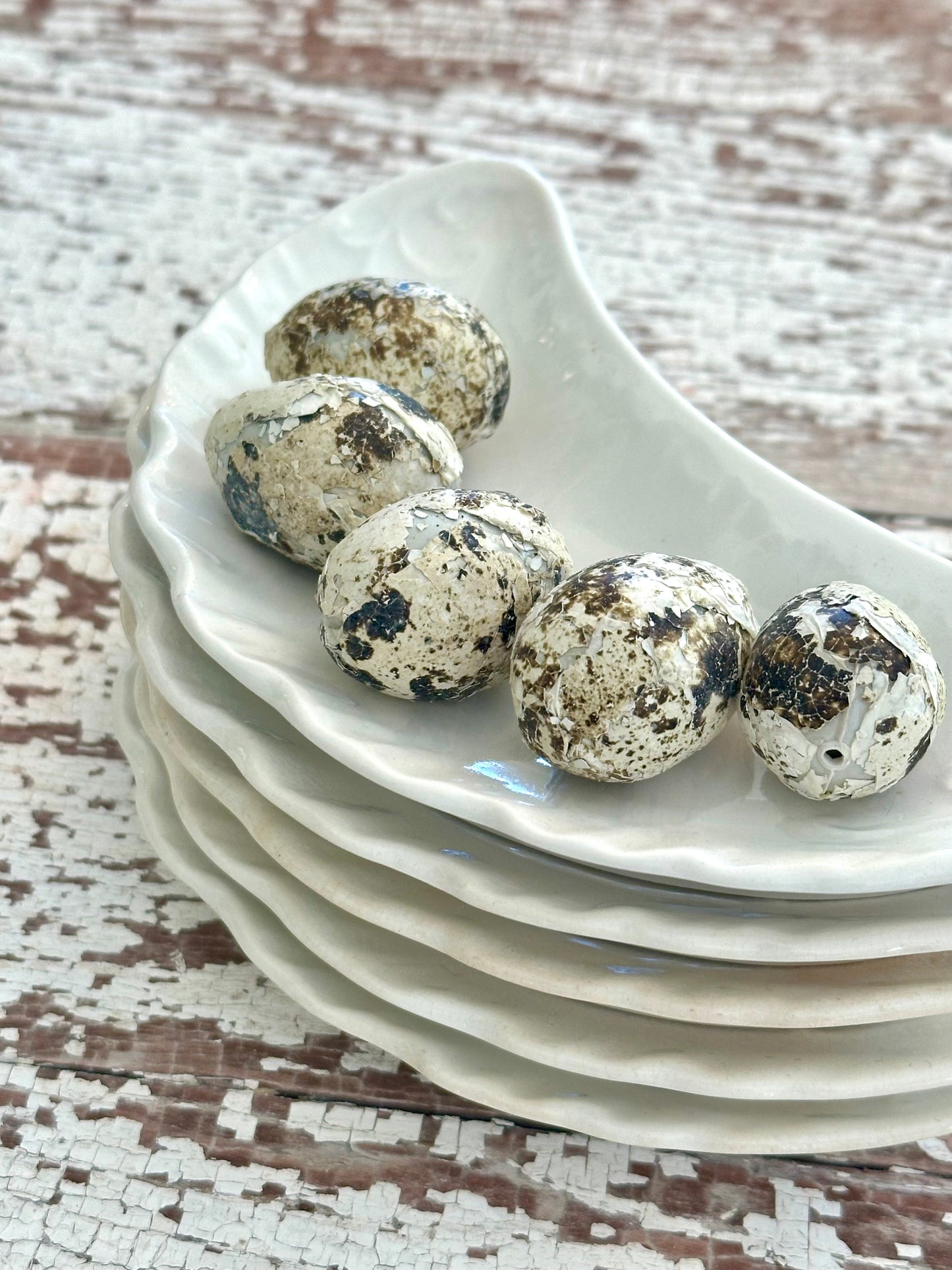 Set of 5 Bone Dishes or Moon Shaped Plates
