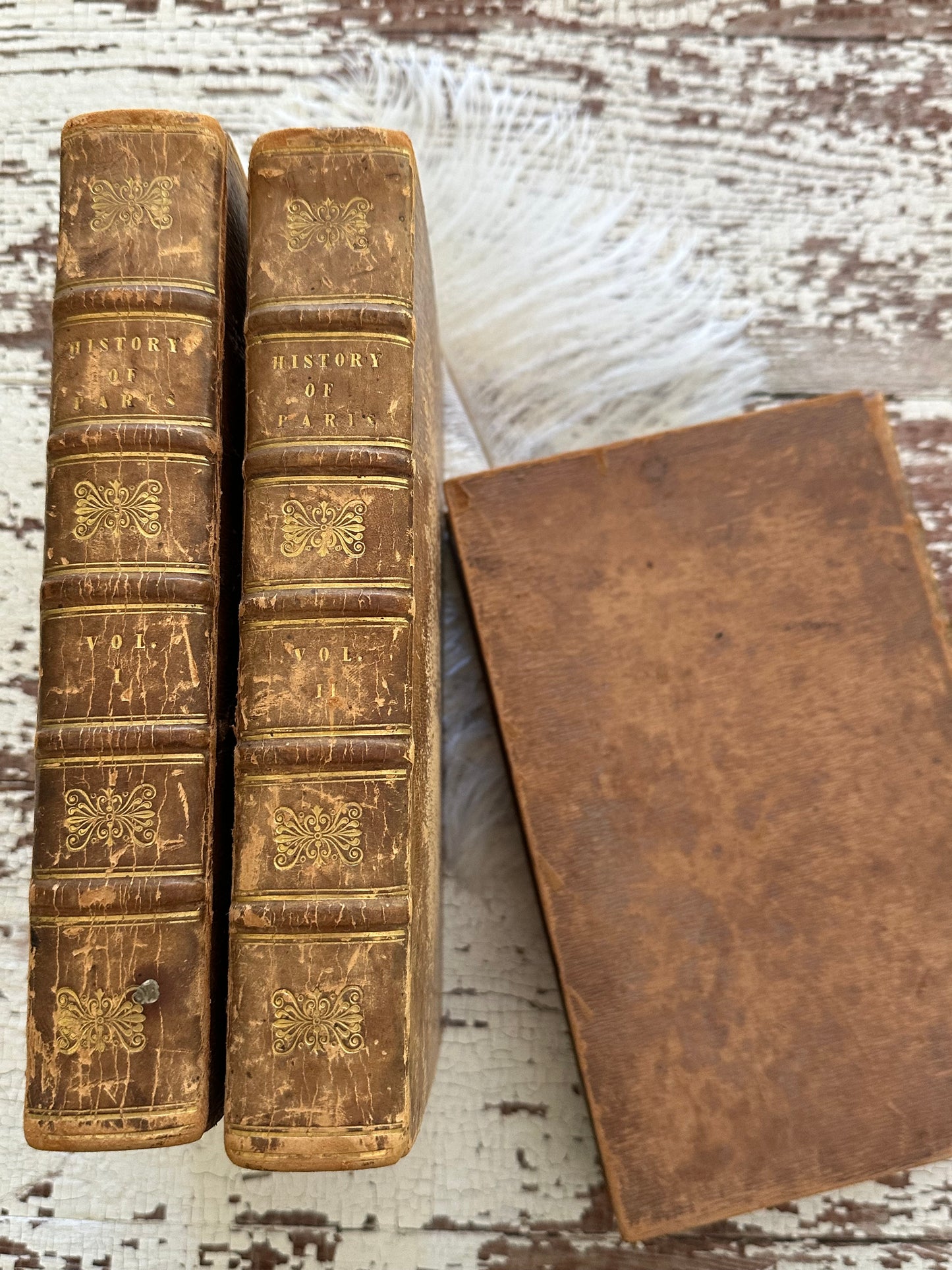 1825 The History of Paris Book Set