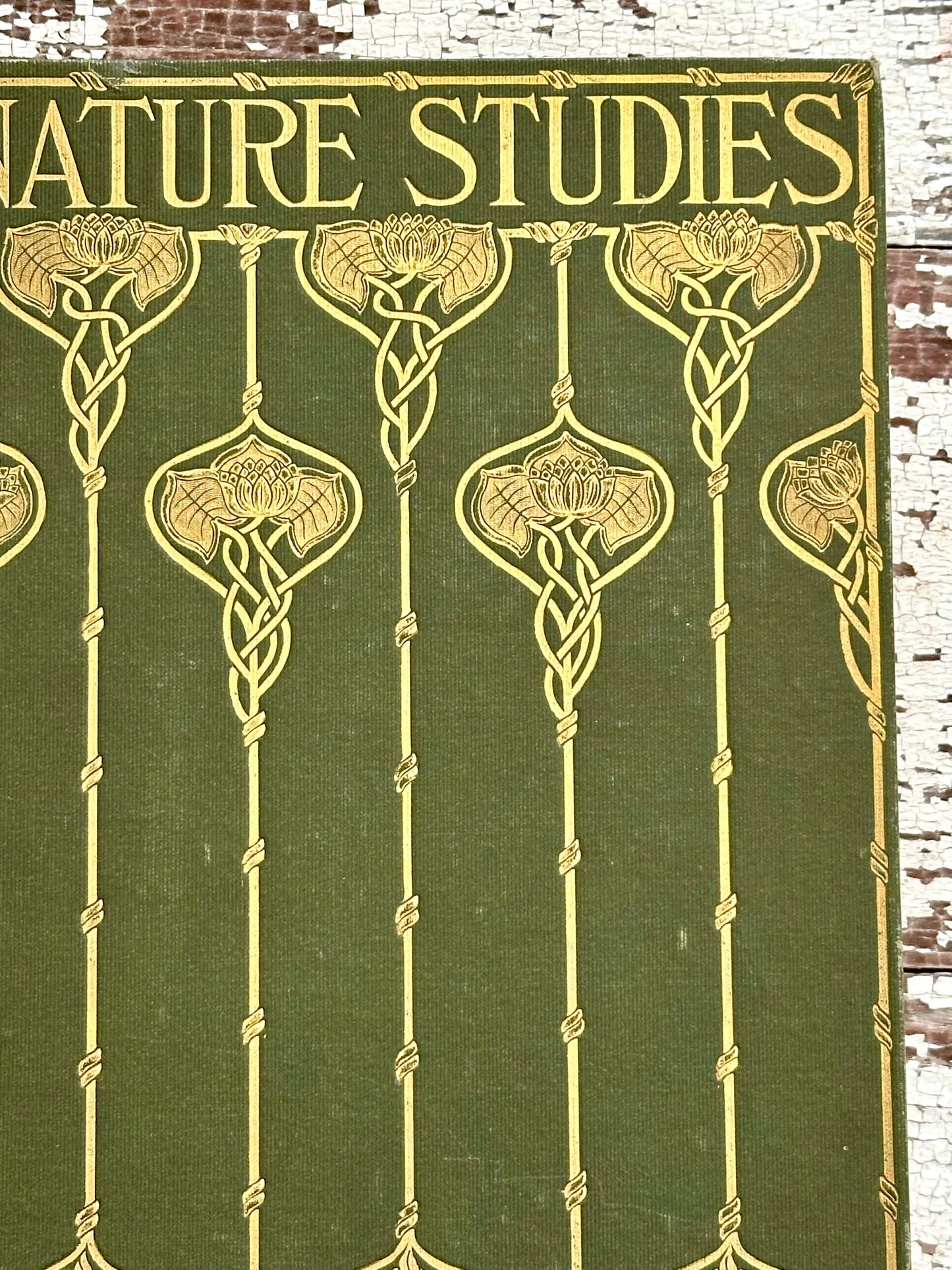 1899 Nature Studies in Berkshire