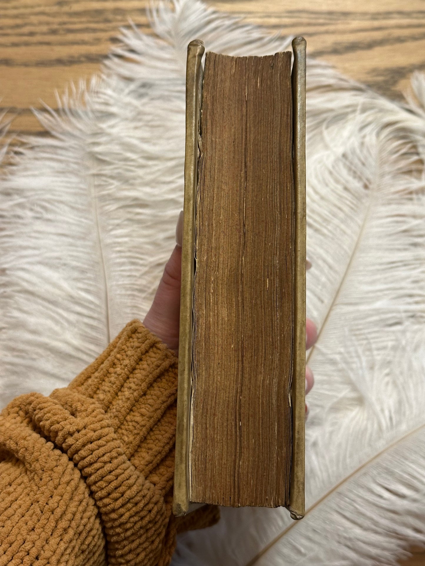 1709 M.Minucii Felicis Octavius Book in Latin- Full Vellum