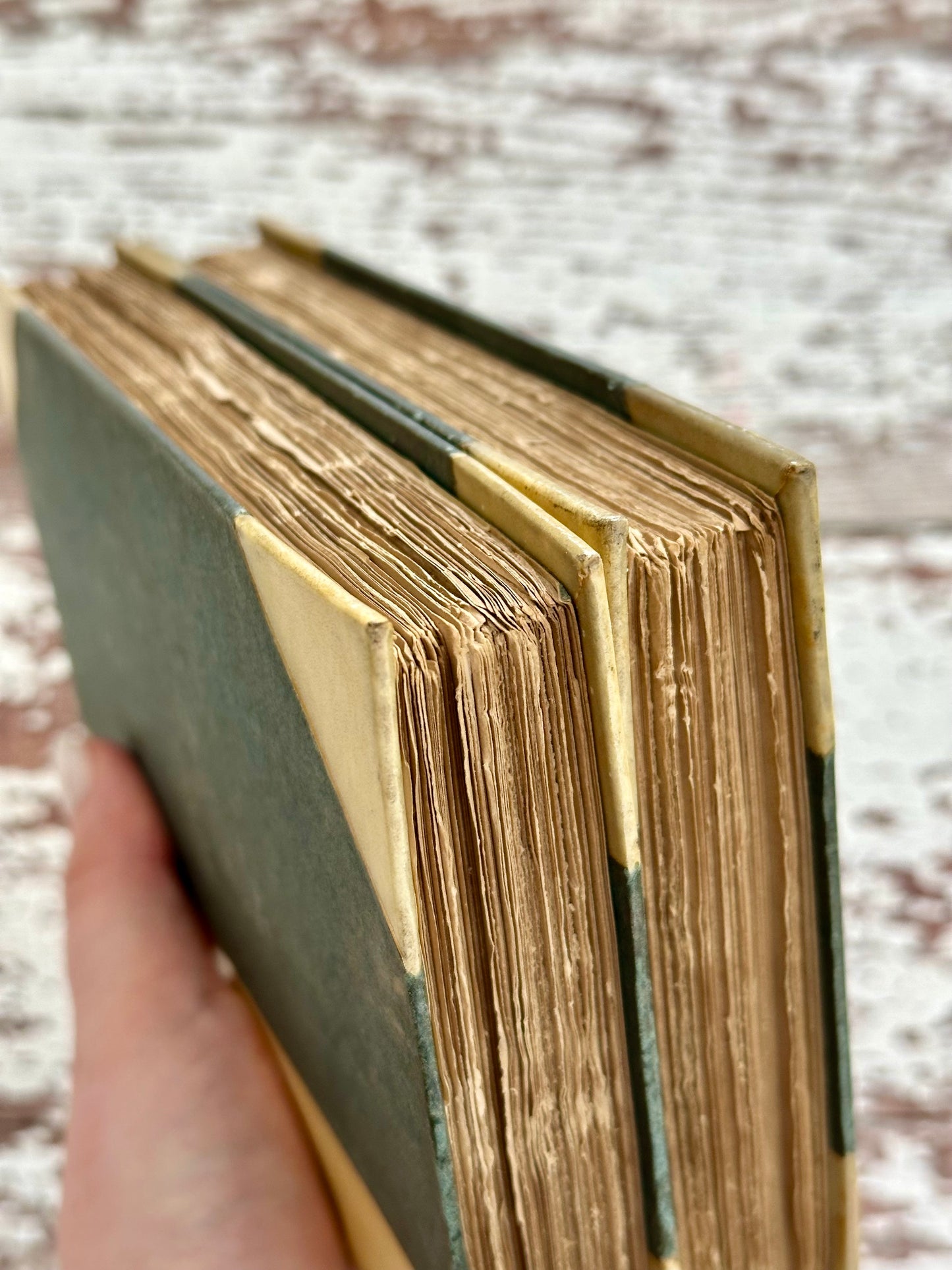 1893 The Poetical Works of Robert Herrick- Vellum