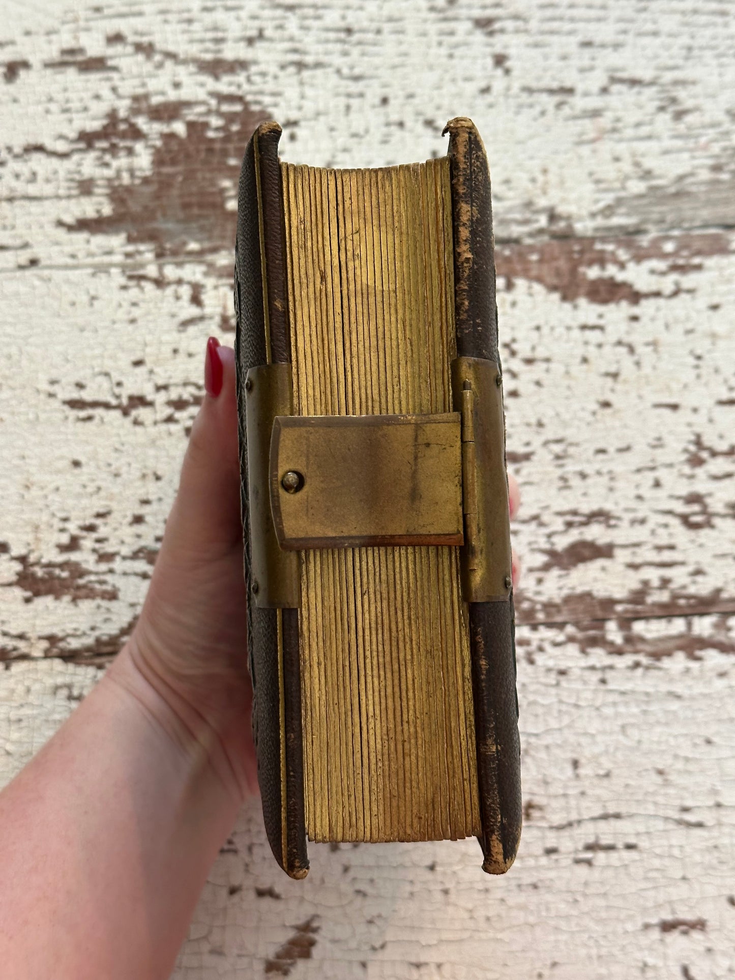 Antique Leather Photo Album Filled with Old Photographs & Tintypes