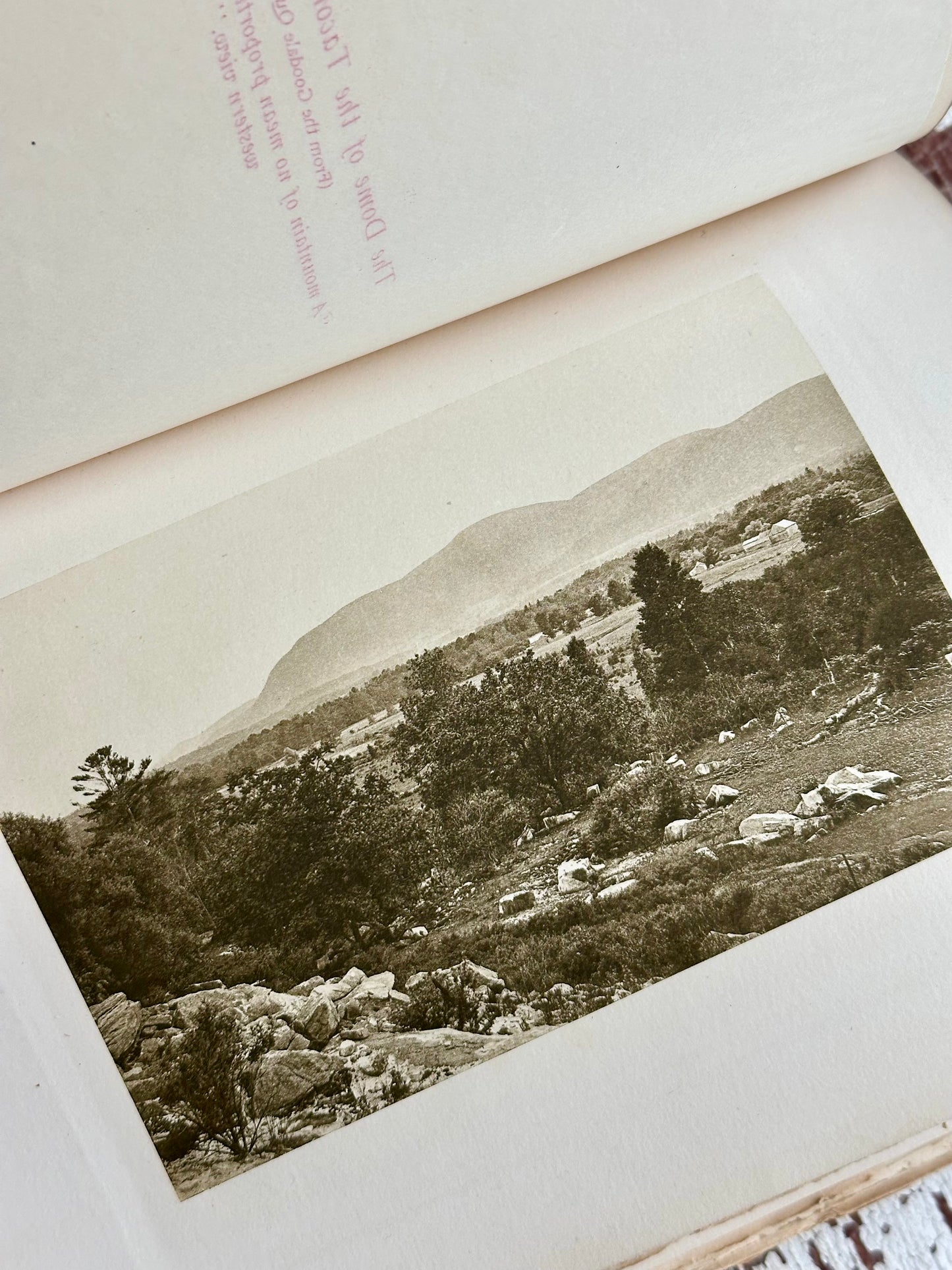 1899 Nature Studies in Berkshire