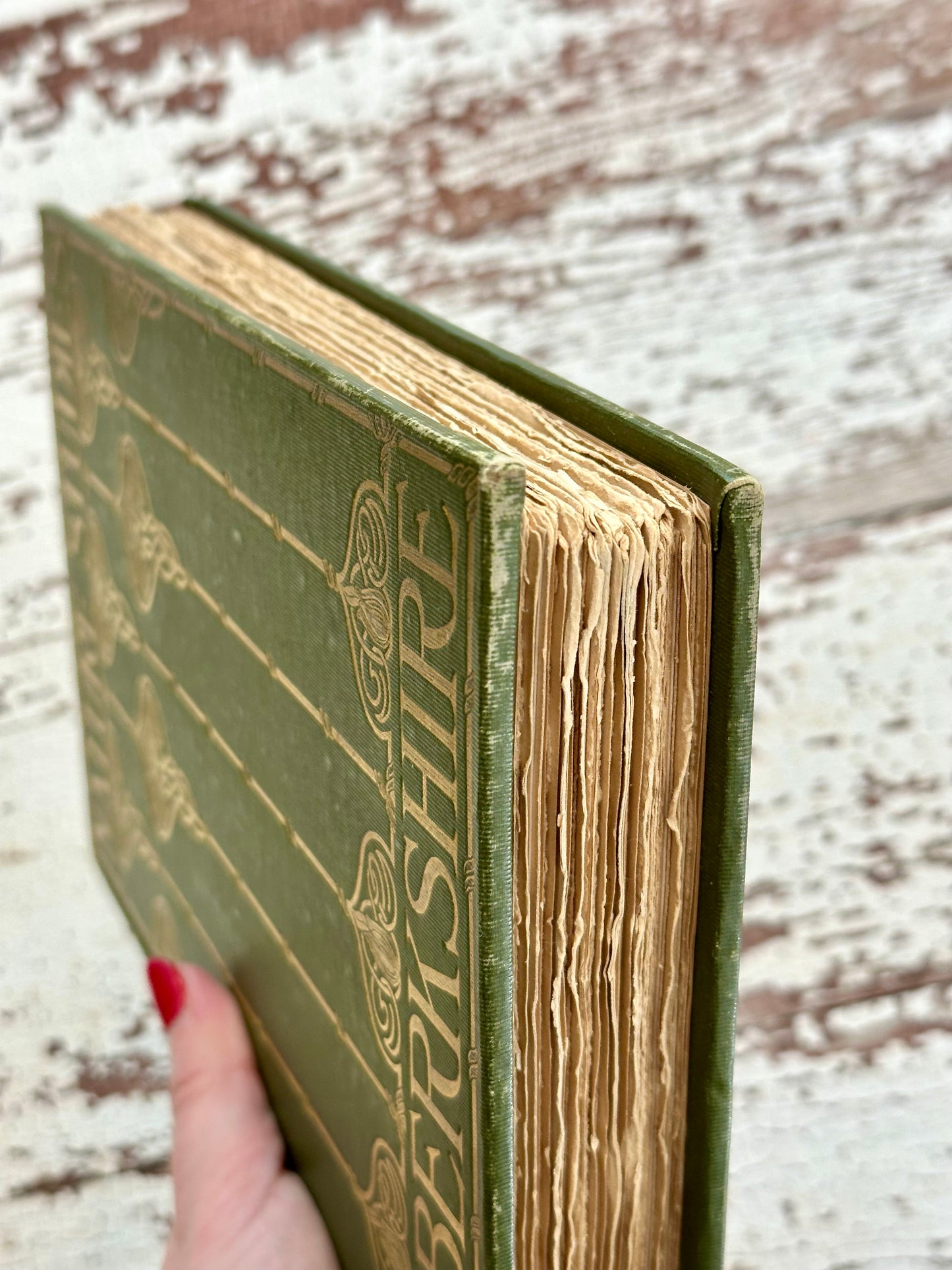 1899 Nature Studies in Berkshire