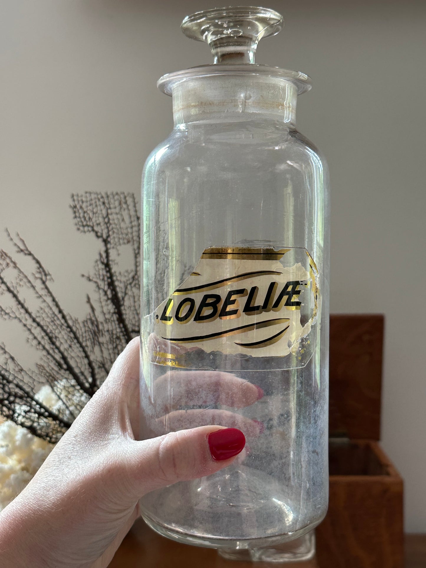 Antique Glass Apothecary Jars with Worn Labels