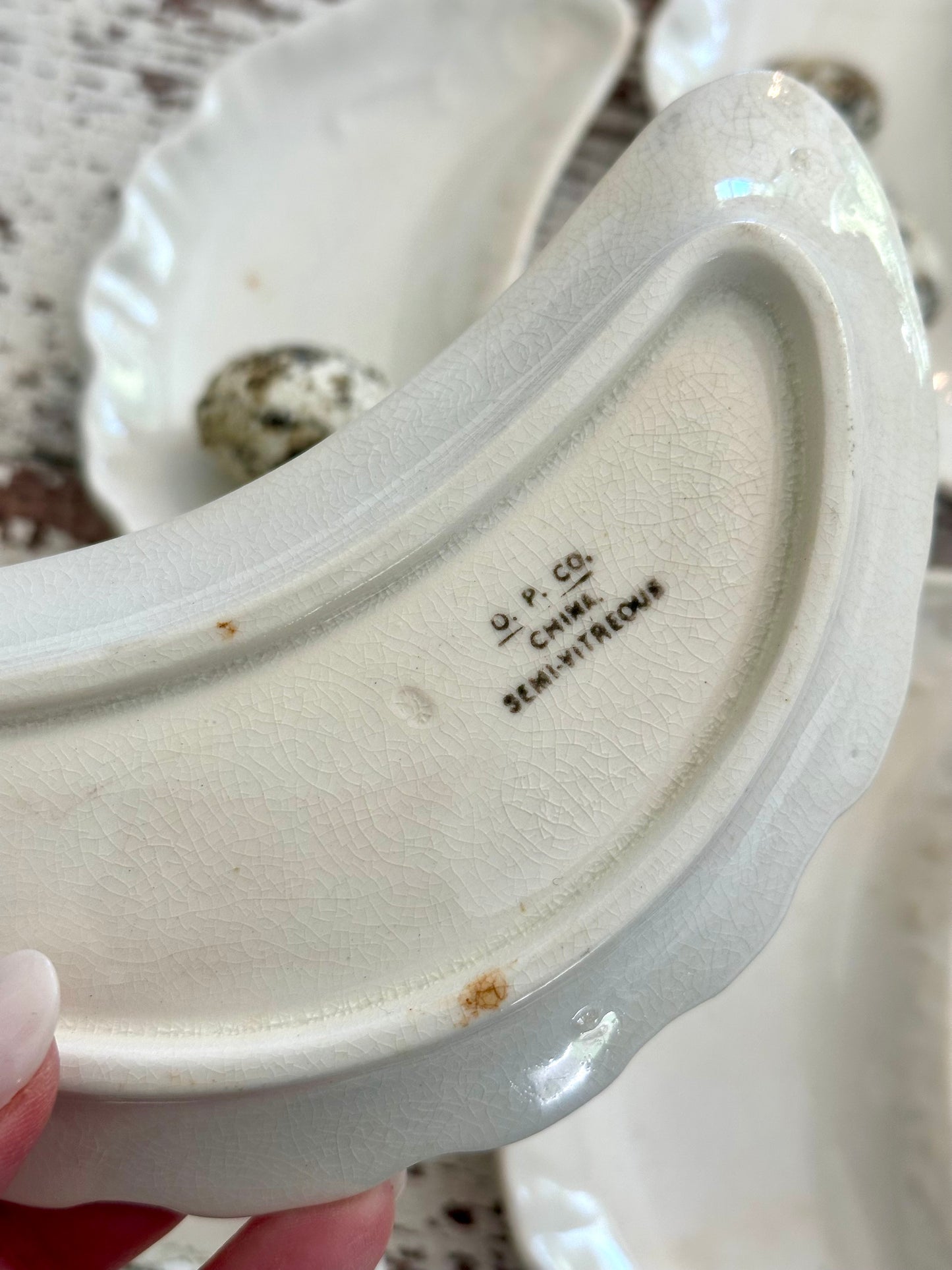 Set of 5 Bone Dishes or Moon Shaped Plates