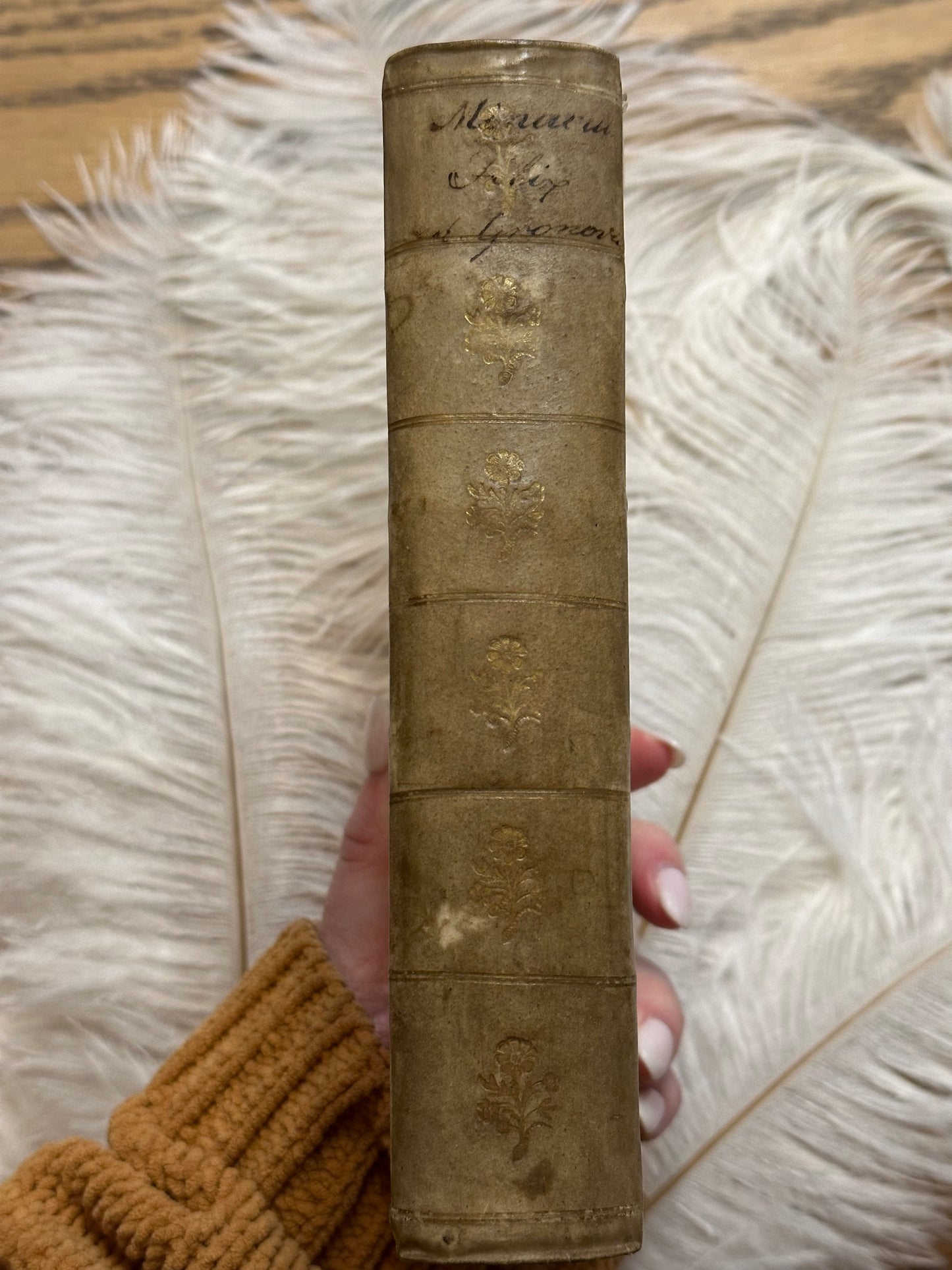 1709 M.Minucii Felicis Octavius Book in Latin- Full Vellum