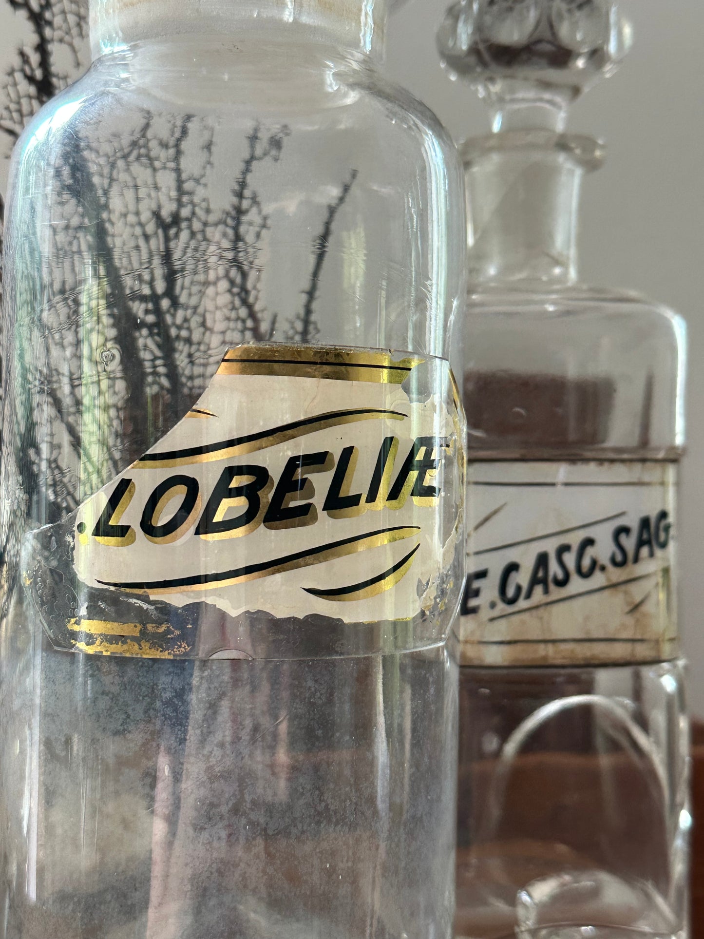 Antique Glass Apothecary Jars with Worn Labels