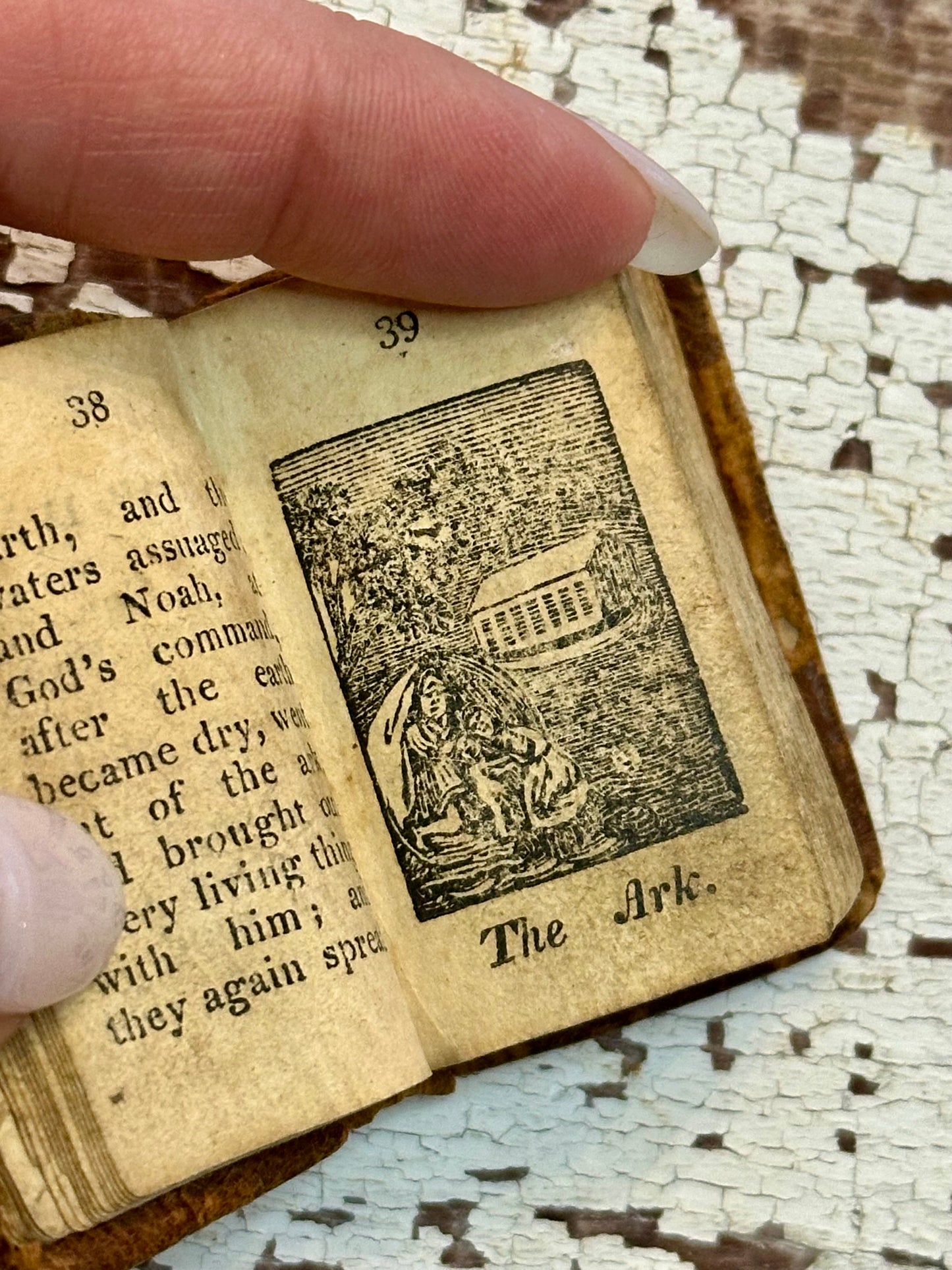Rare- 1819 Micro History of the Bible Book