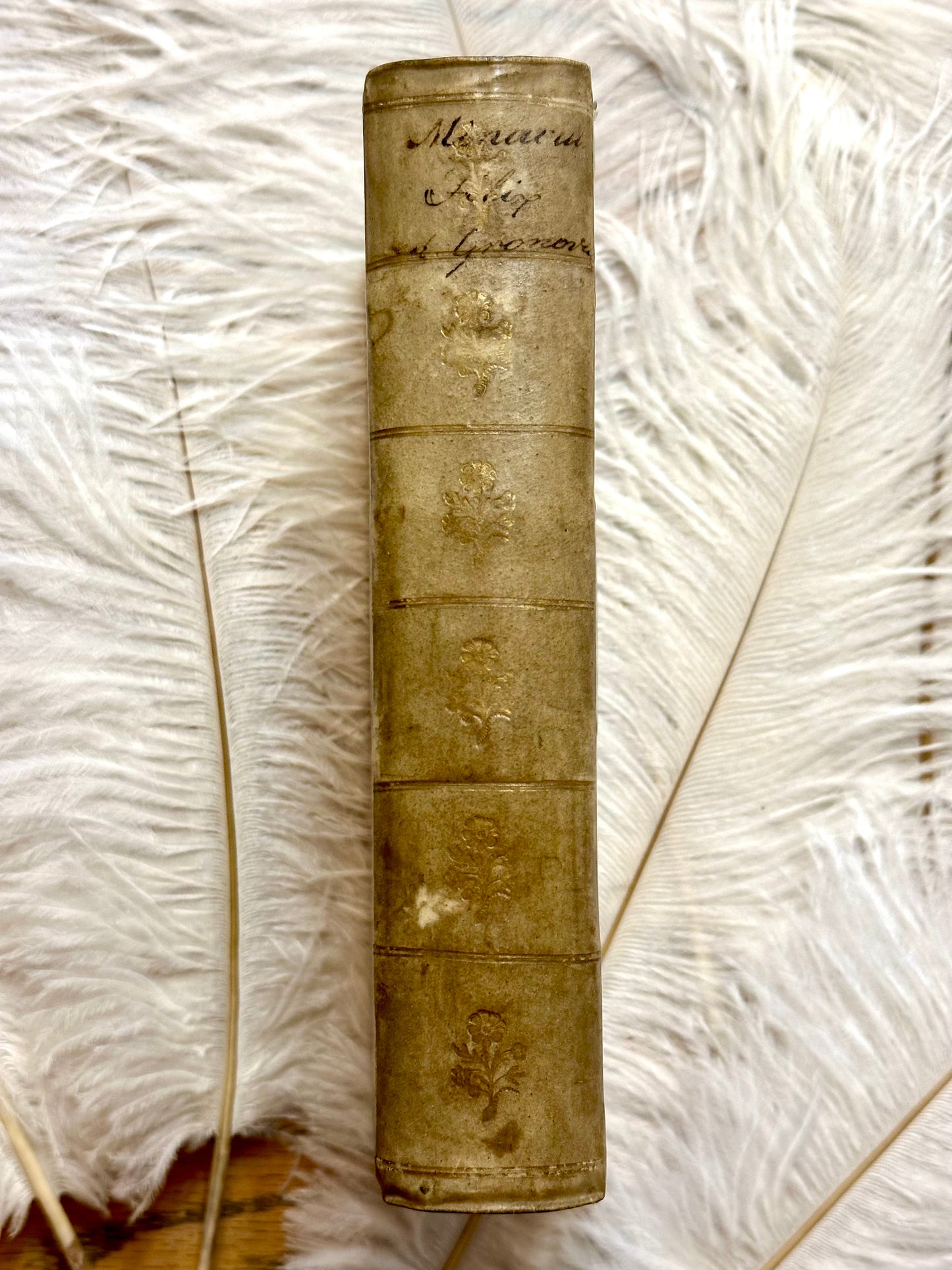 1709 M.Minucii Felicis Octavius Book in Latin- Full Vellum