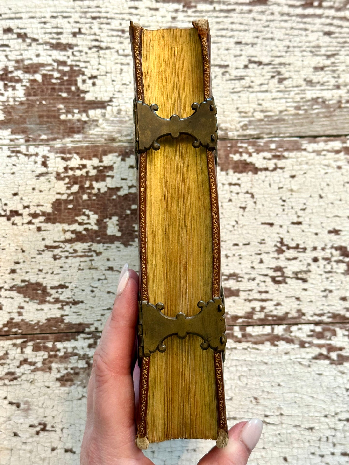 Rare- 1742 Office of the Holy Book in Italian