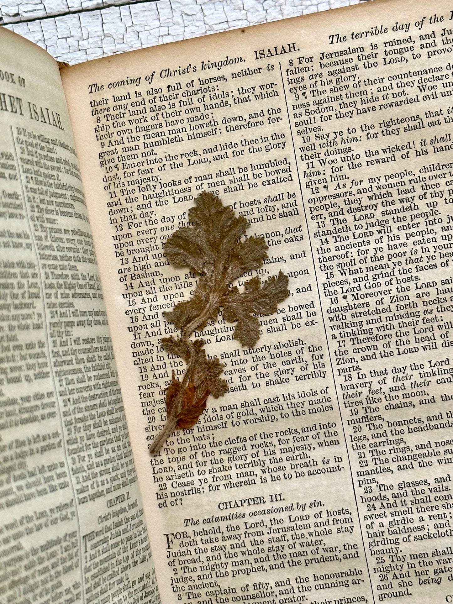Rare 1861 Leather First Edition Holy Bible