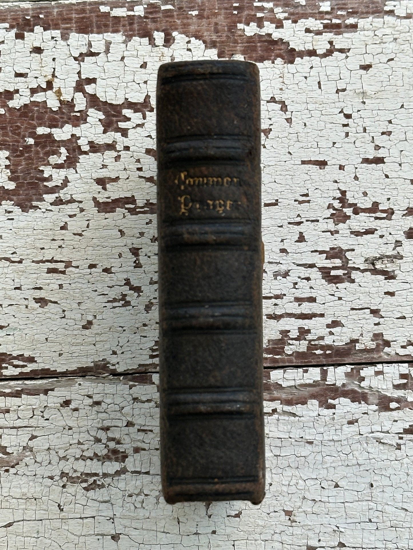 1869 The Book of Common Prayer