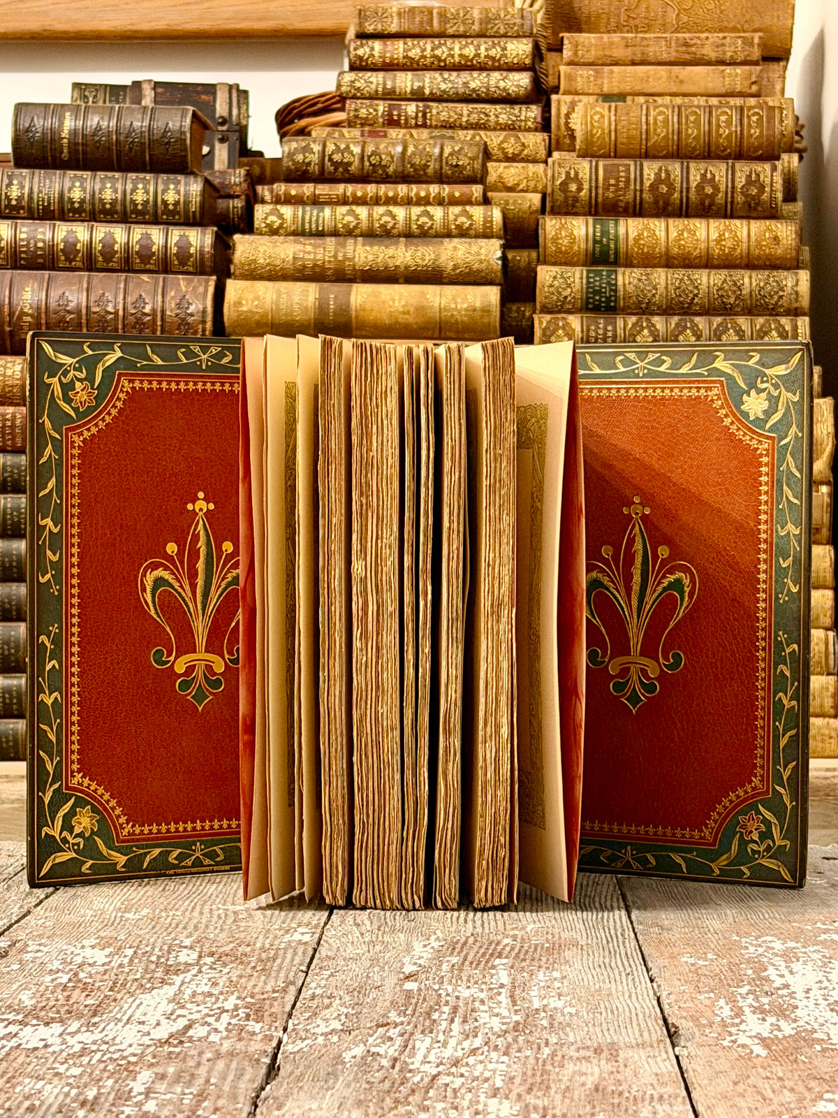 1901 The Works of Theophile Gautier, Travels in Spain- Very Rare Fine Binding