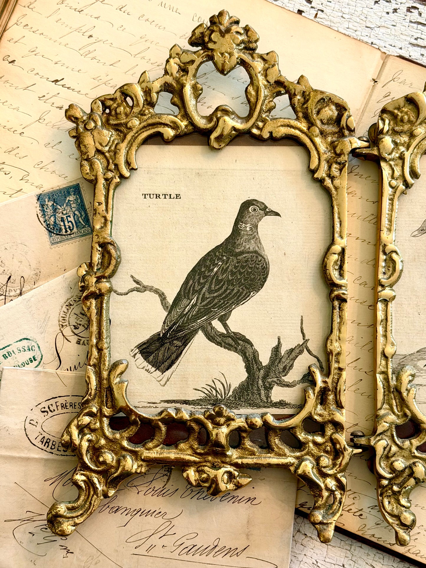 Double Brass Frame with Antique Bird Engravings