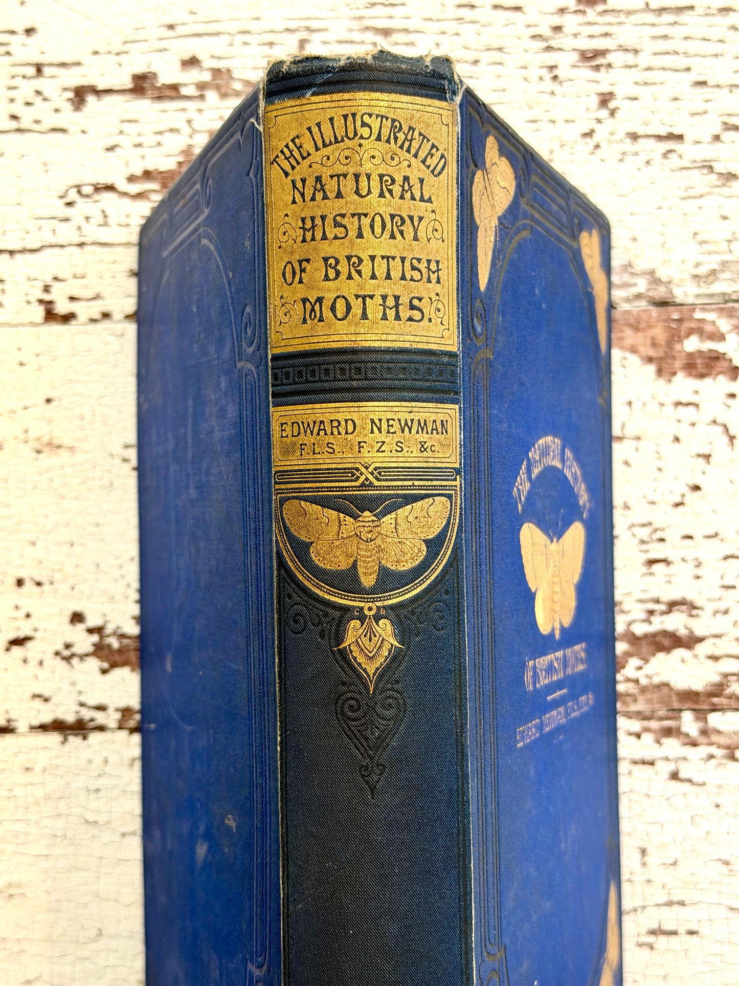 1869 Illustrated Natural History of British Moths Book
