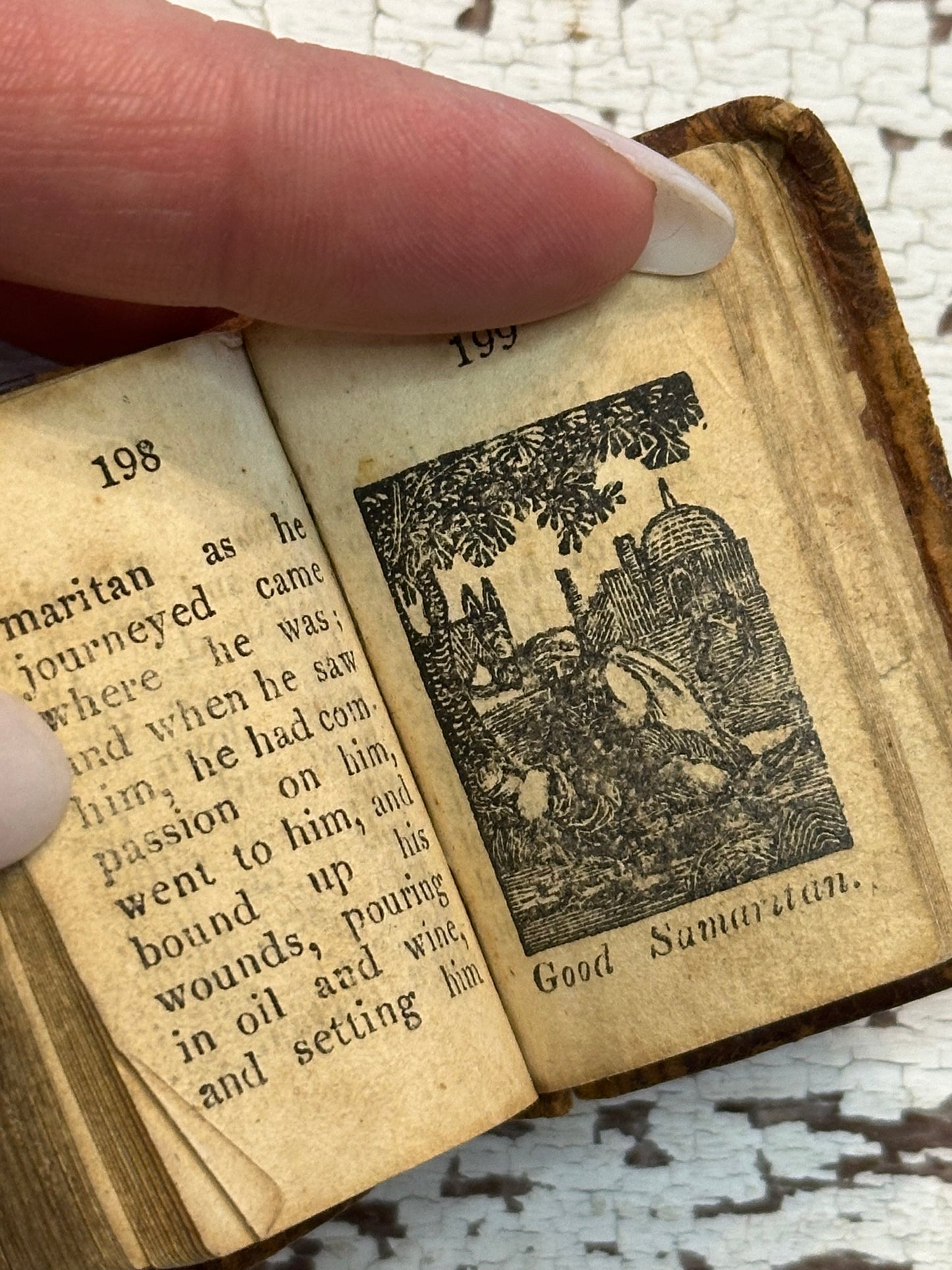 Rare- 1819 Micro History of the Bible Book