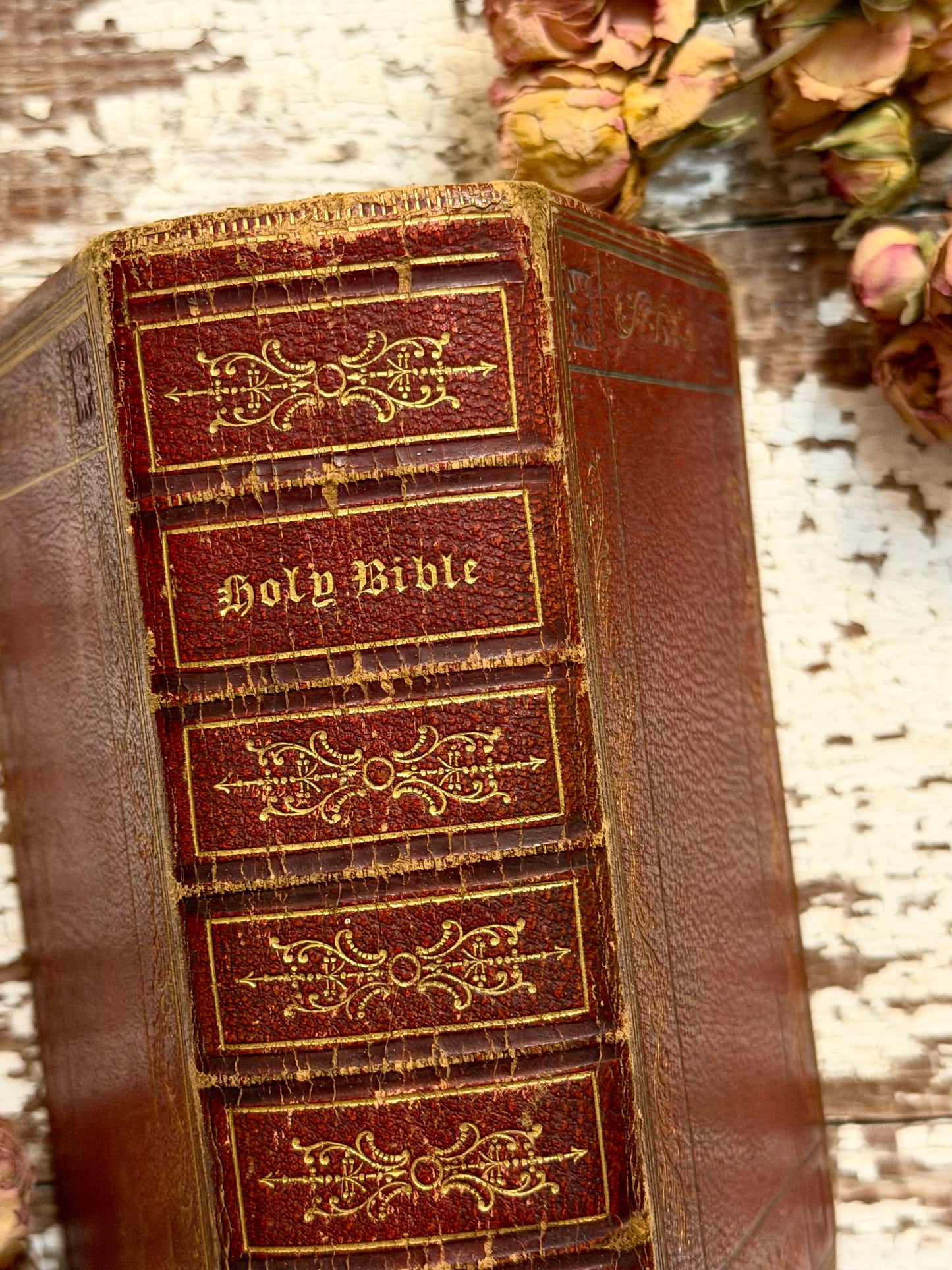 1856 The Holy Bible, Old & New Testament