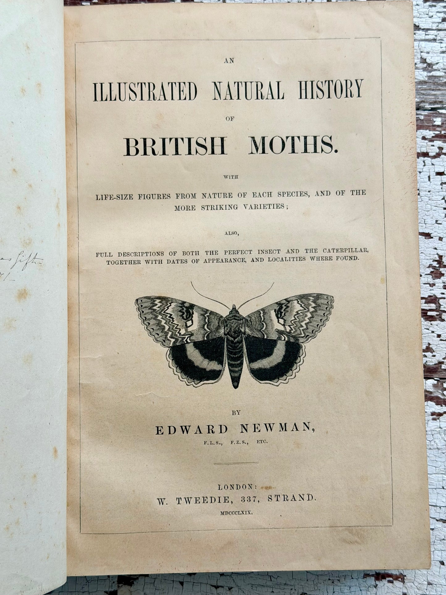1869 Illustrated Natural History of British Moths Book