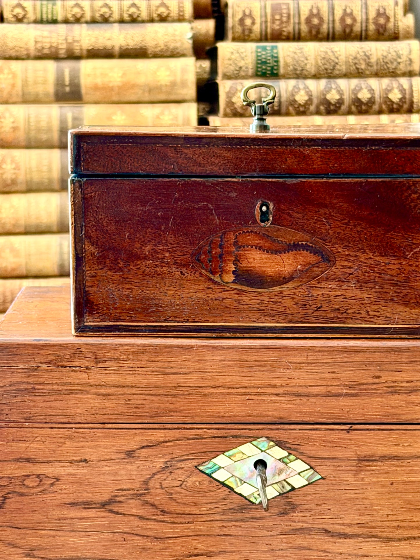 Antique English Mahogany Wood Box with Conch Shell Inlay