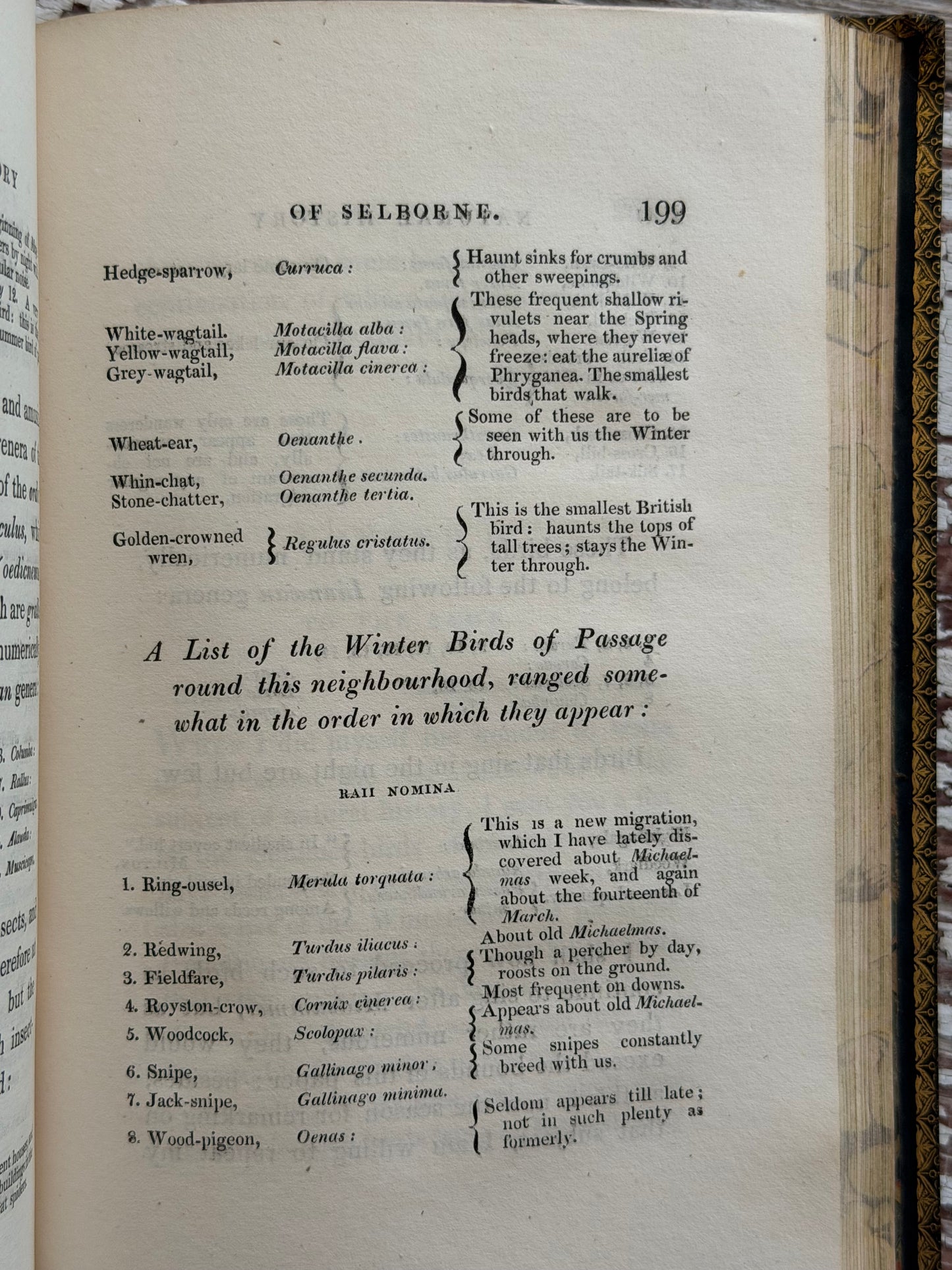 1825 The Natural History of Selborne By Rev. Gilbert White