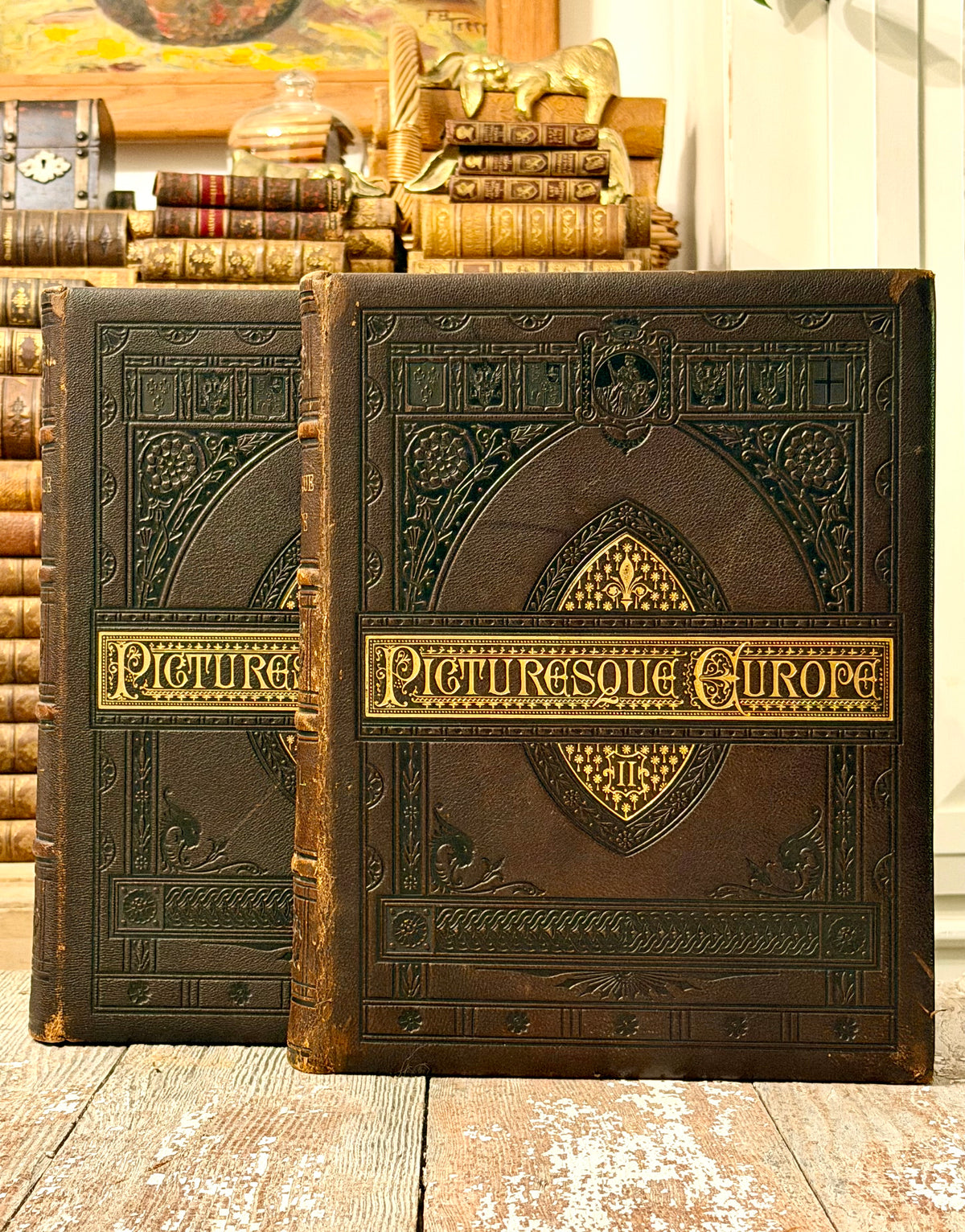 Picturesque Europe Book Set- Large Full Leathers