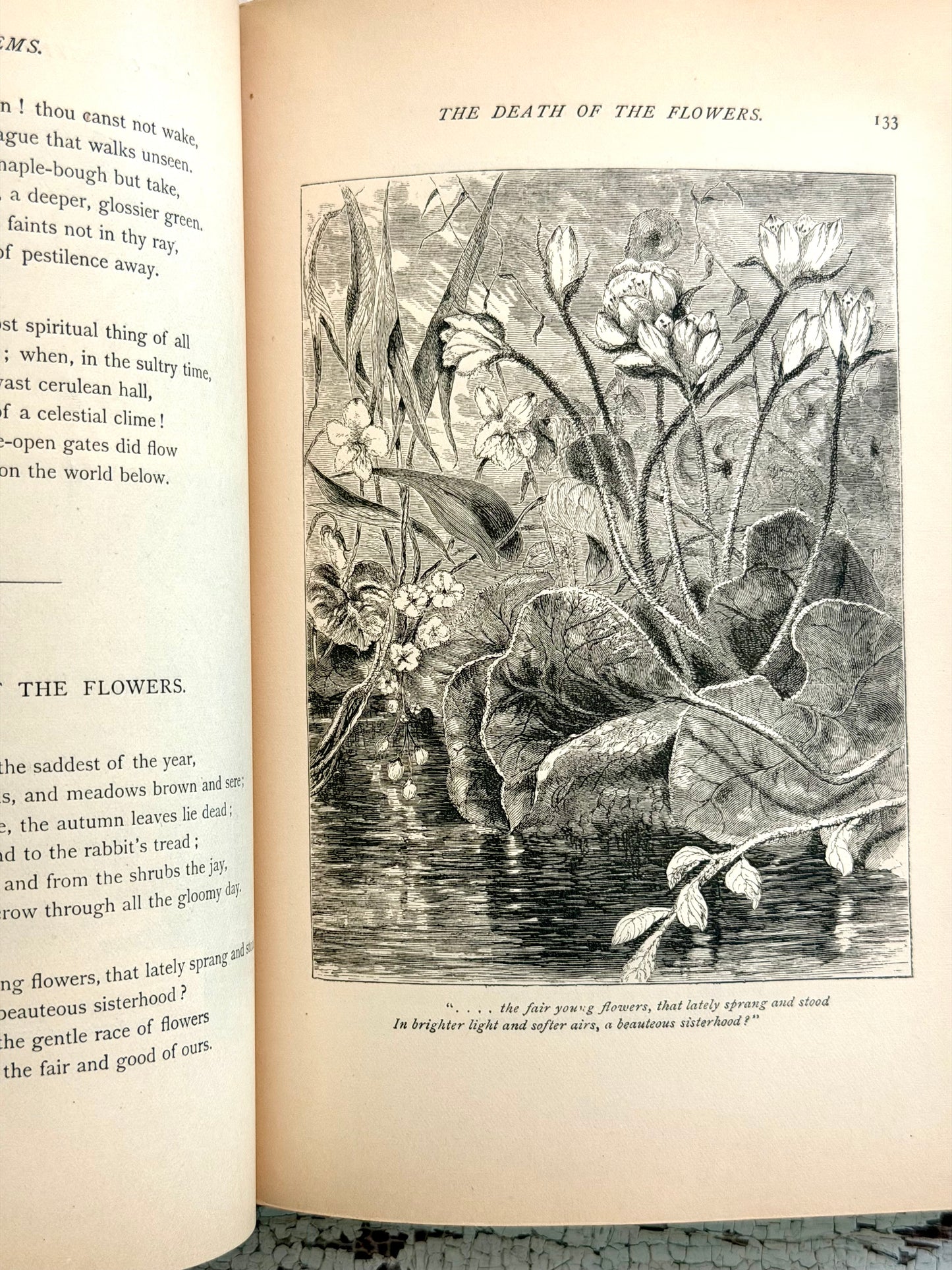 1878 The Poetical Works of William Cullen Bryant