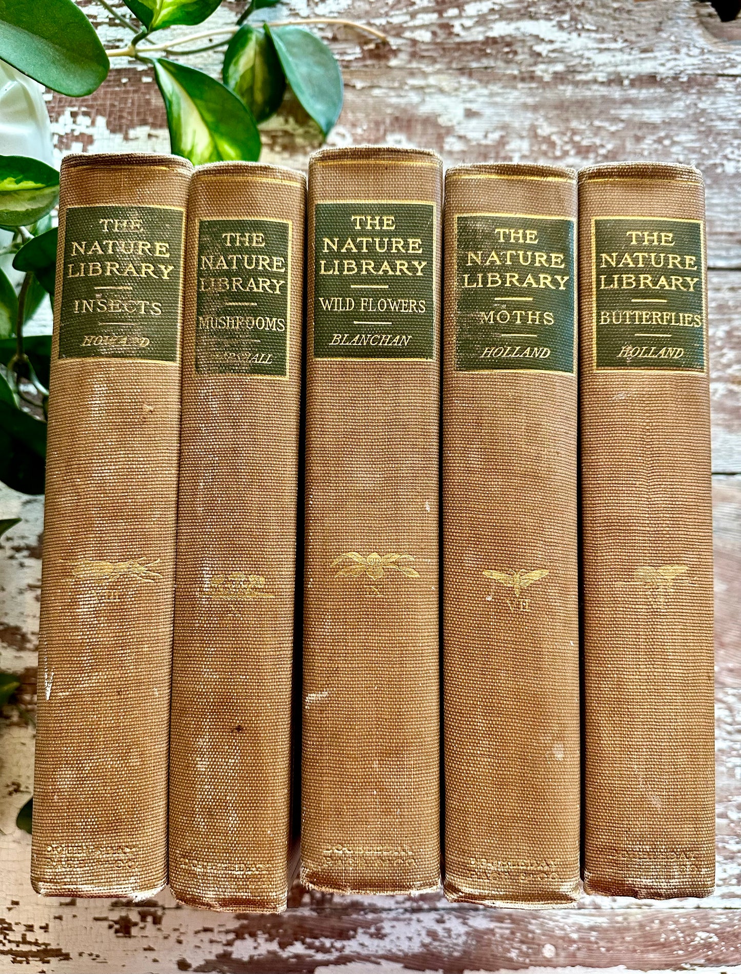 Rare- The Nature Library Book Set with Colored Plates