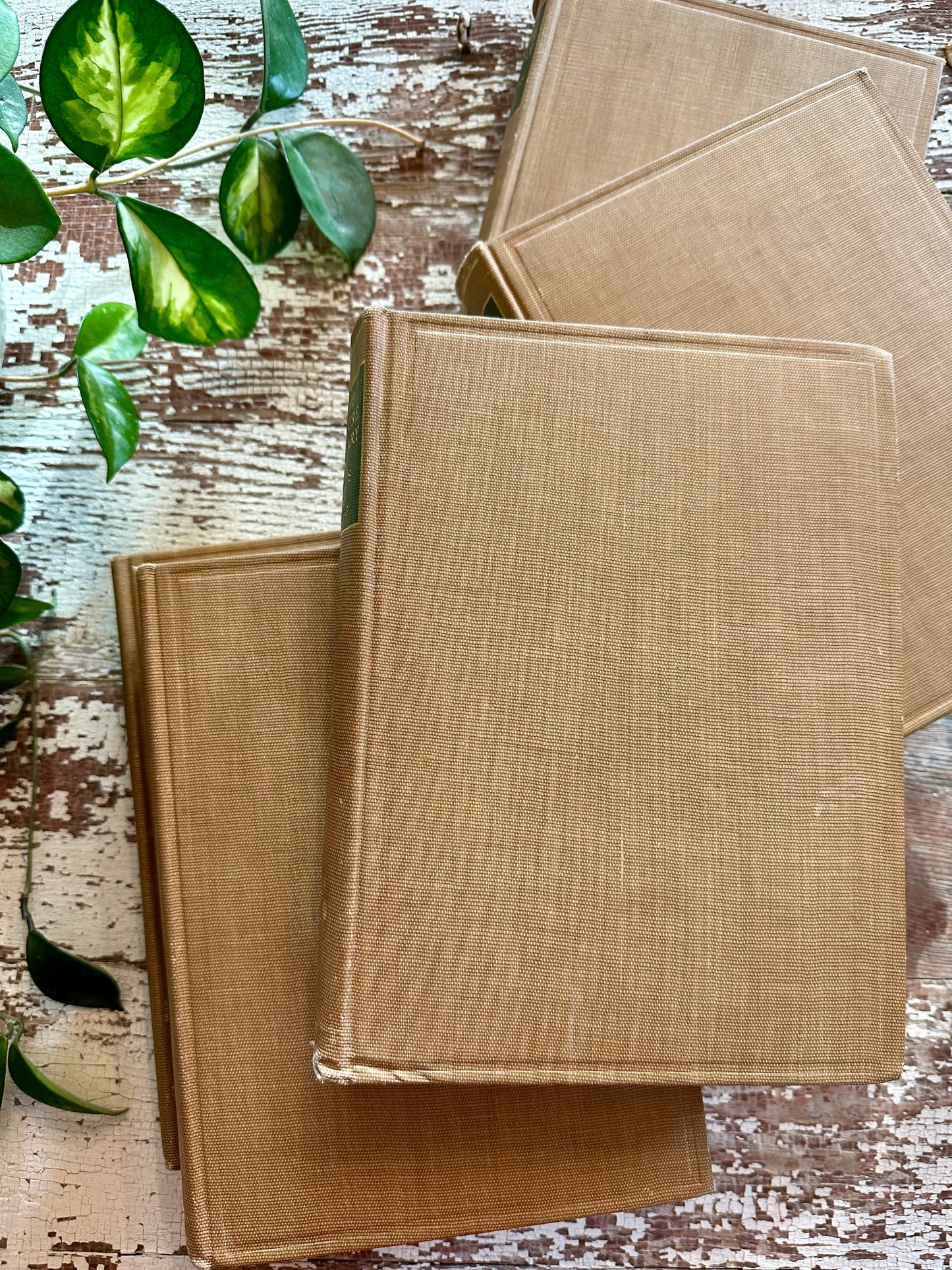 Rare- The Nature Library Book Set with Colored Plates