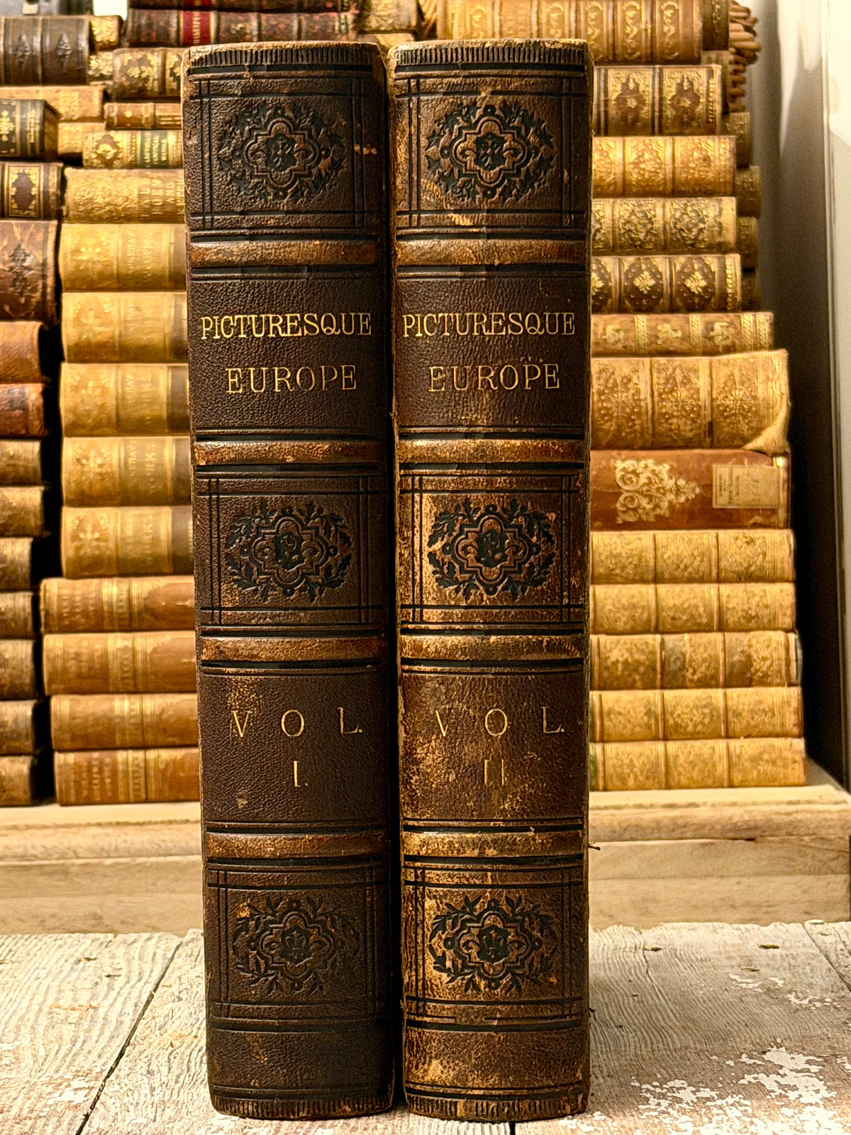 Picturesque Europe Book Set- Large Full Leathers