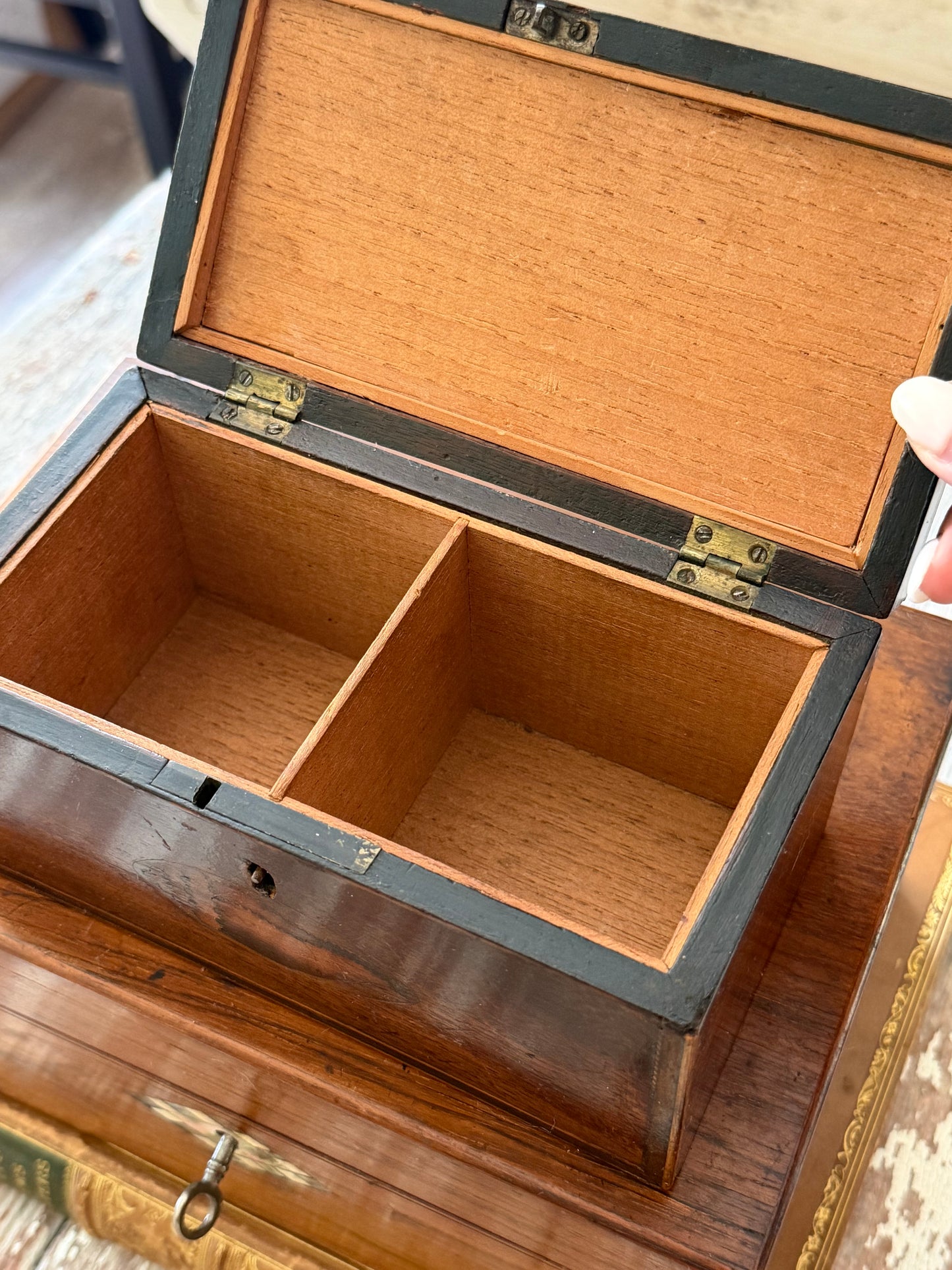 Antique English Mahogany Wood Box with Conch Shell Inlay