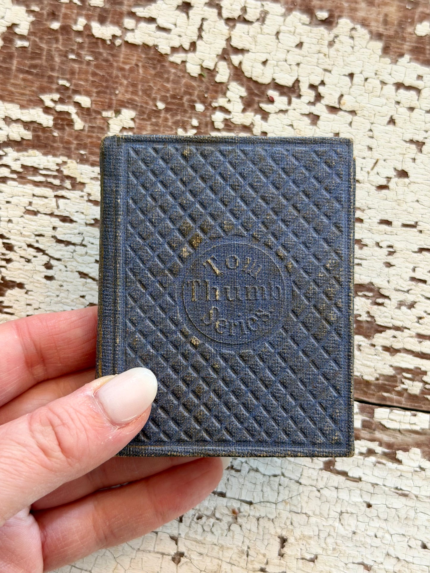 Miniature “The Birds of America” Book