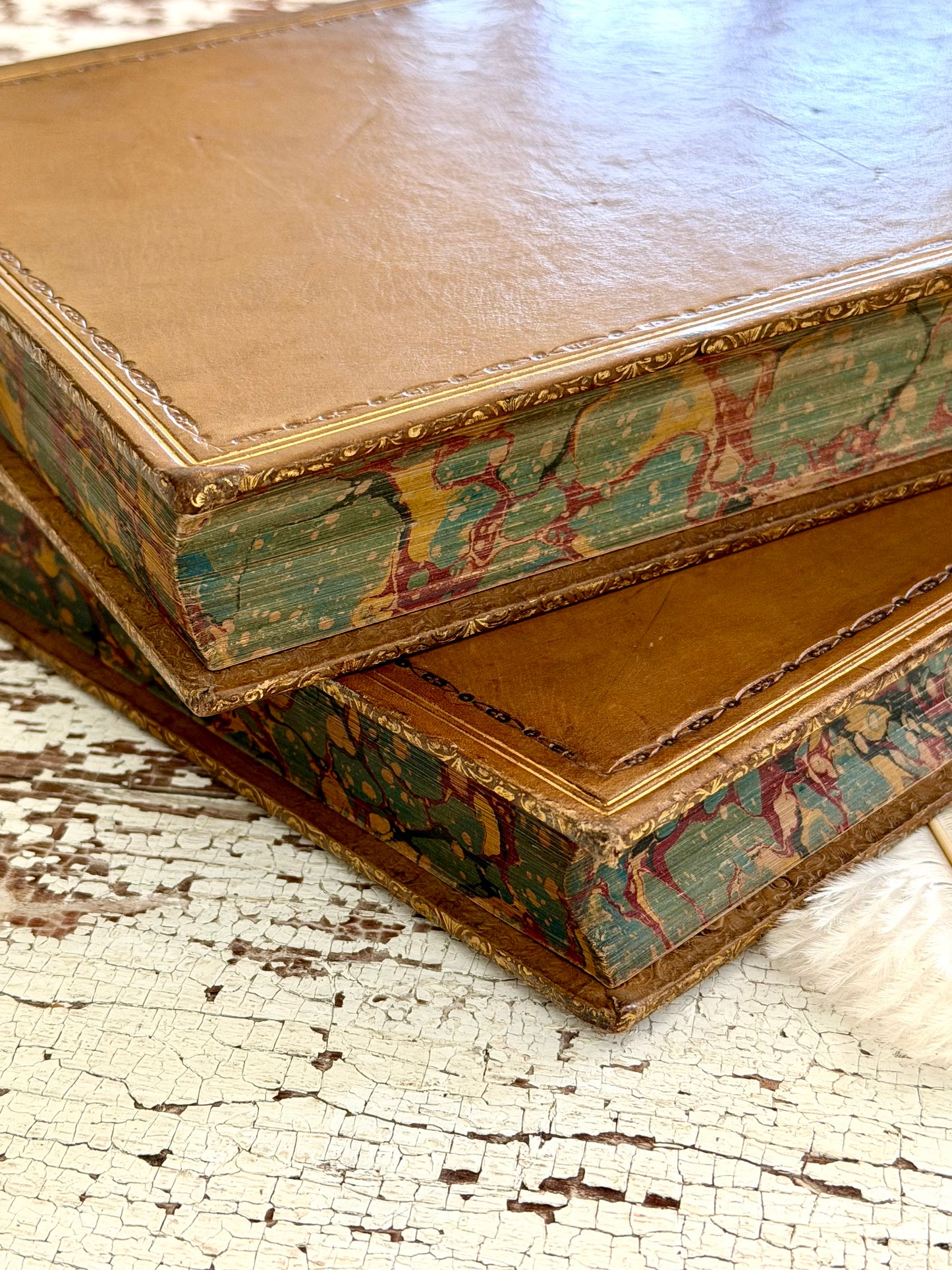 1801 Hudibras by Samuel Butler- Complete in Two Volumes