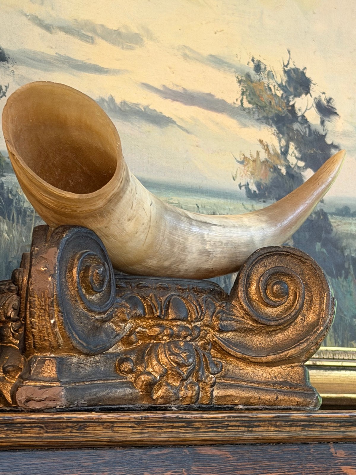 Real Ox Horn