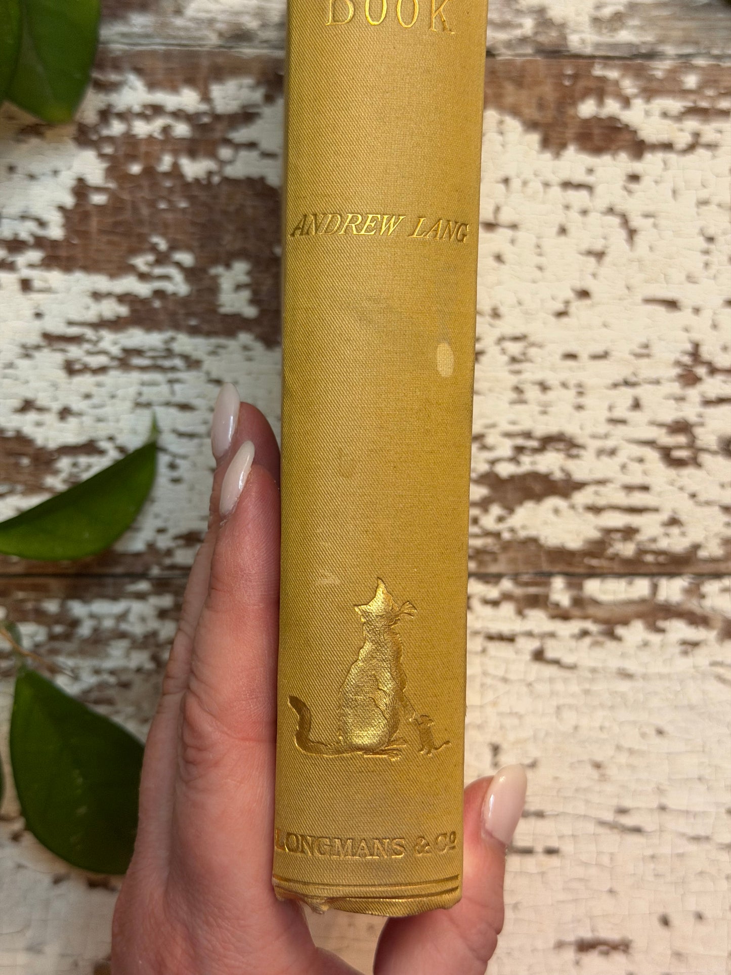 1908 The Yellow Fairy Book by Andrew Lang