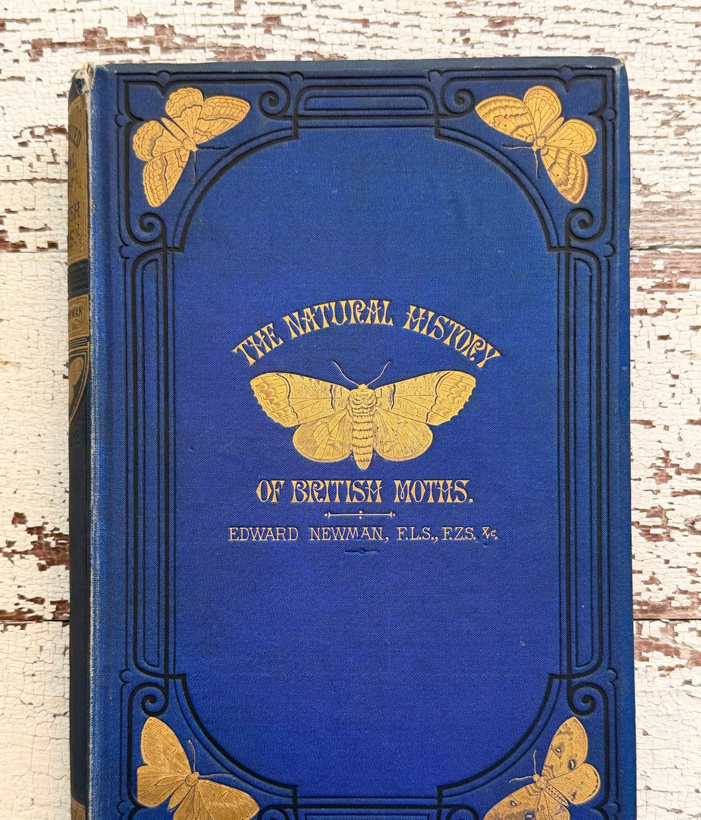 1869 Illustrated Natural History of British Moths Book