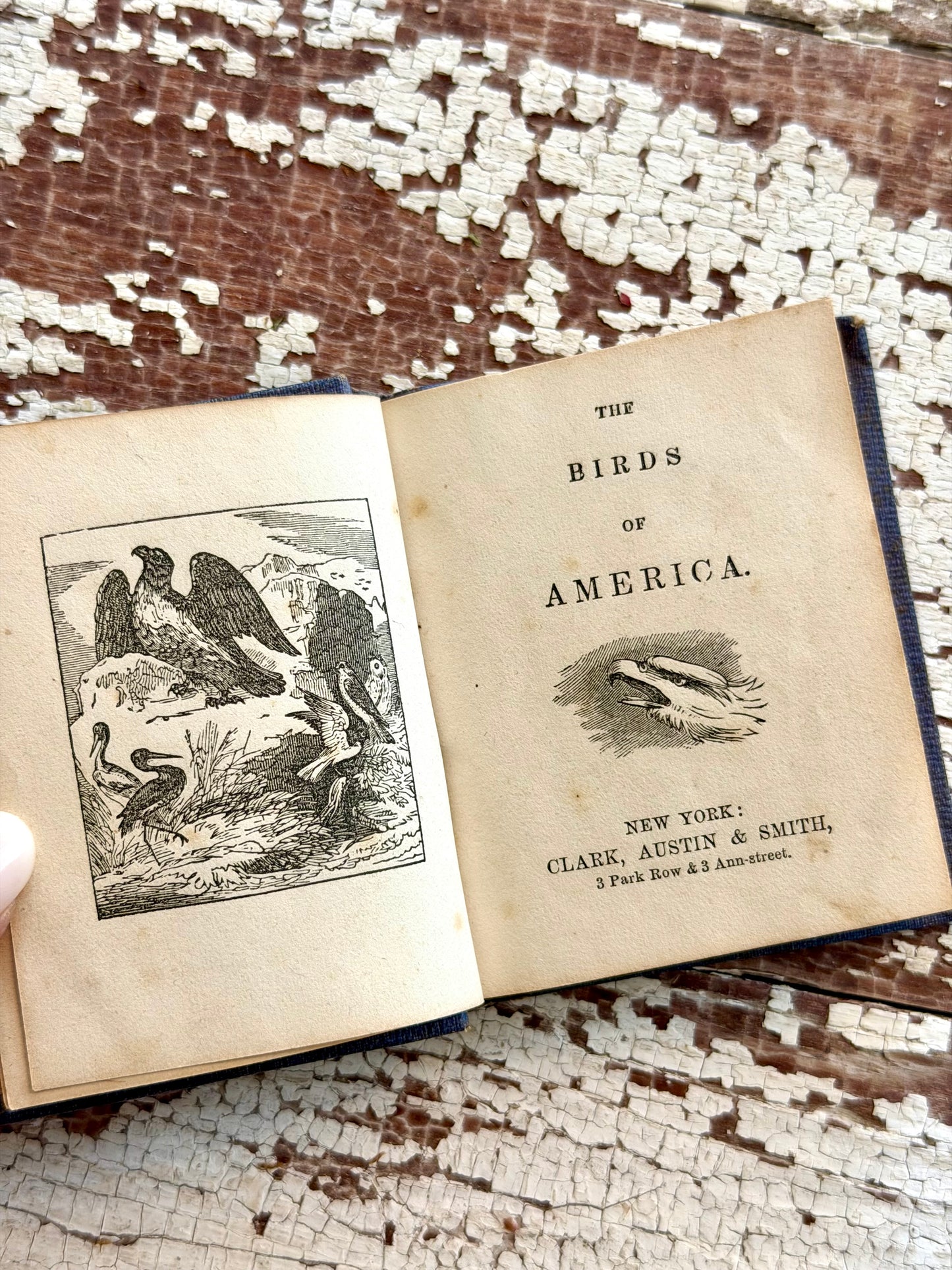 Miniature “The Birds of America” Book